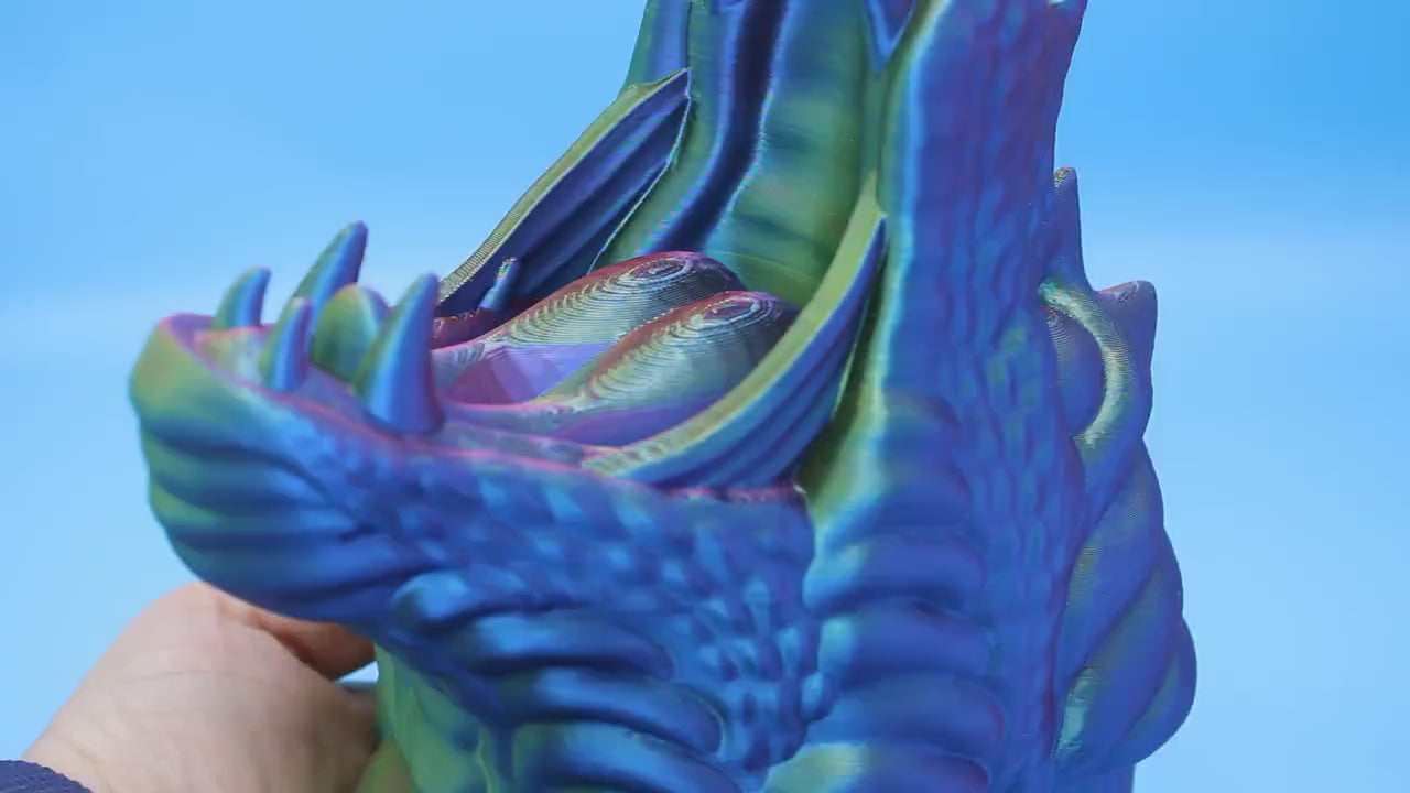 Dragon Controller Holder