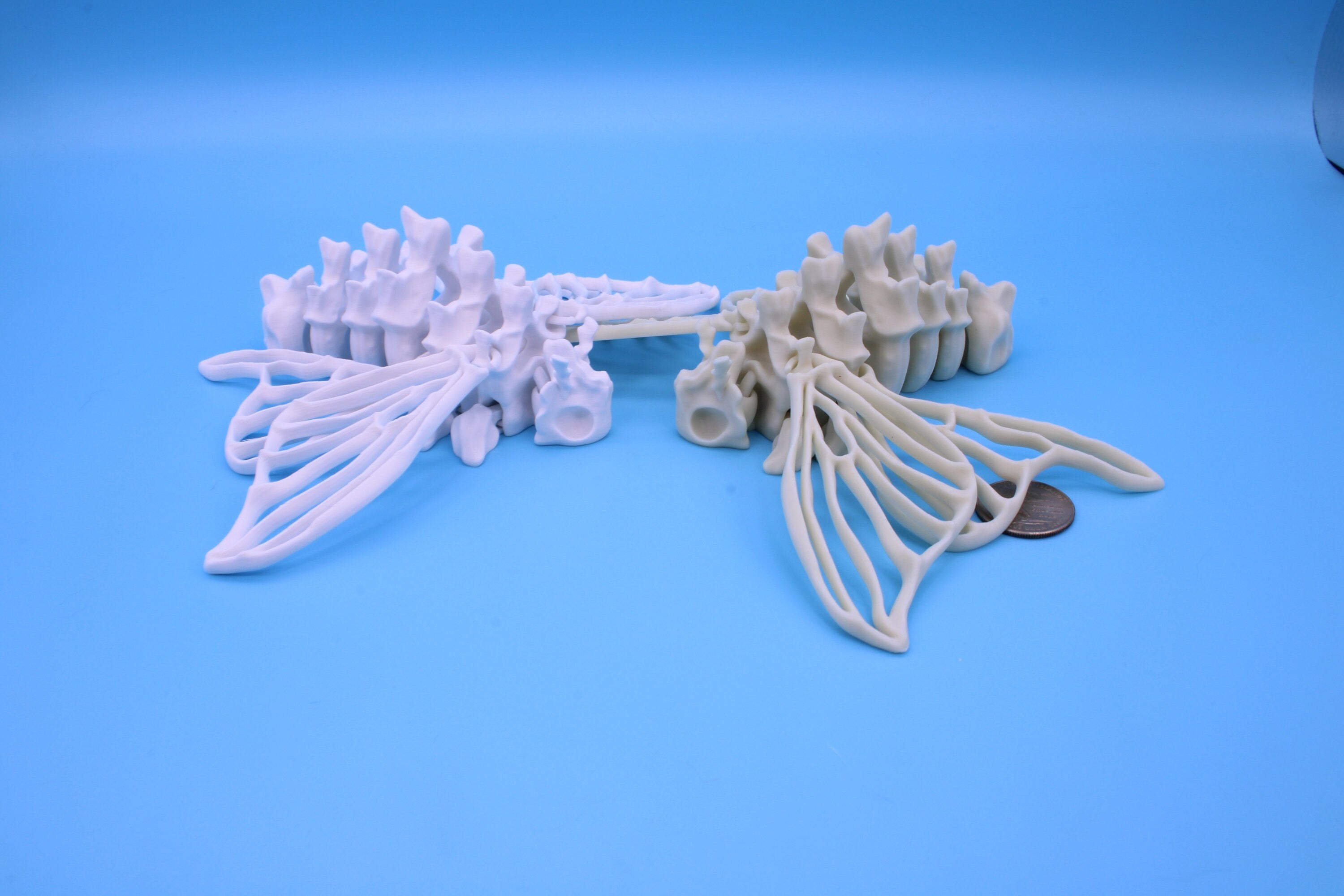 Bone Moth | Bone White, White, & Black | 3D Printed