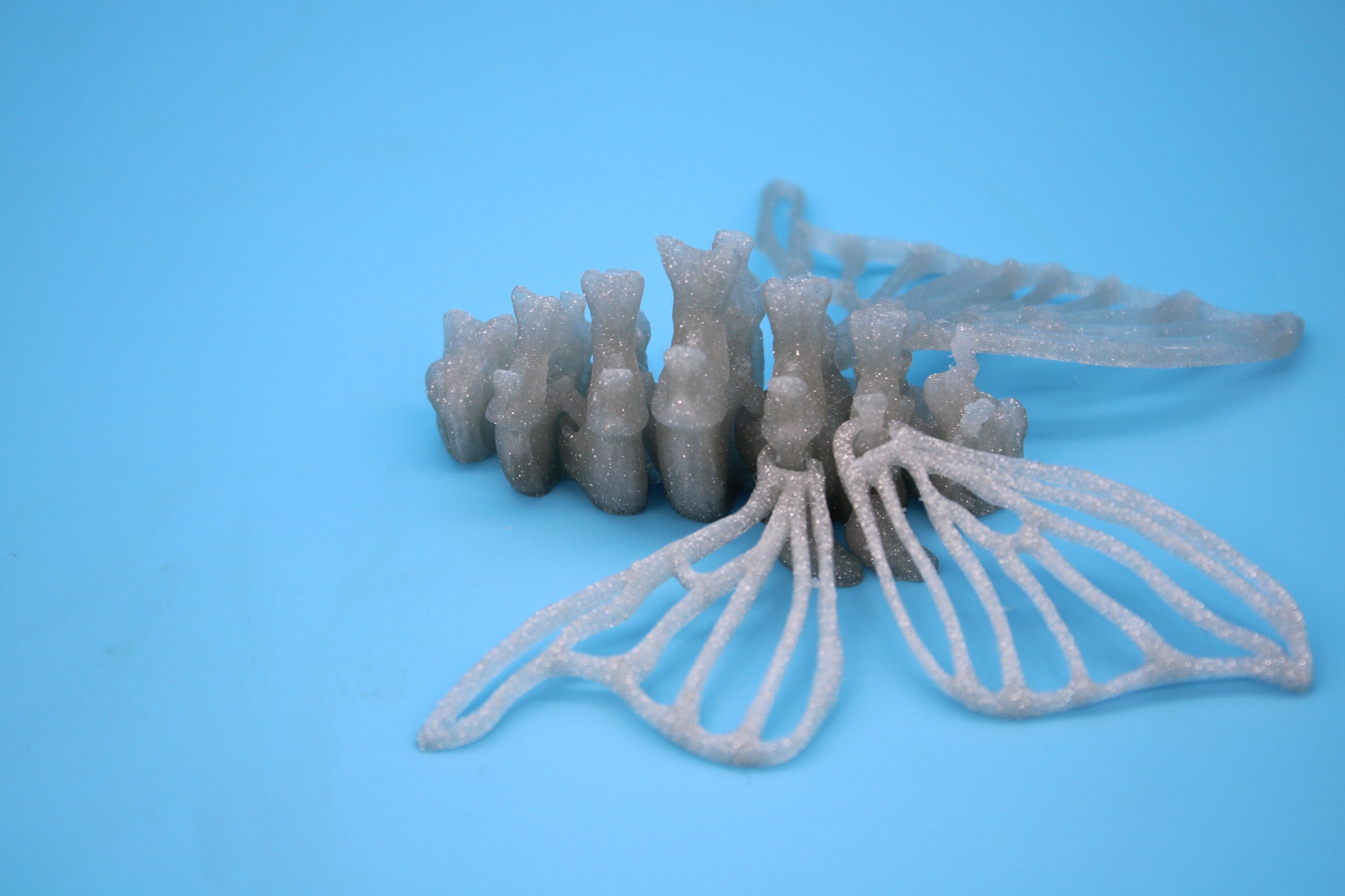 Twinkling Silver Bone Moth