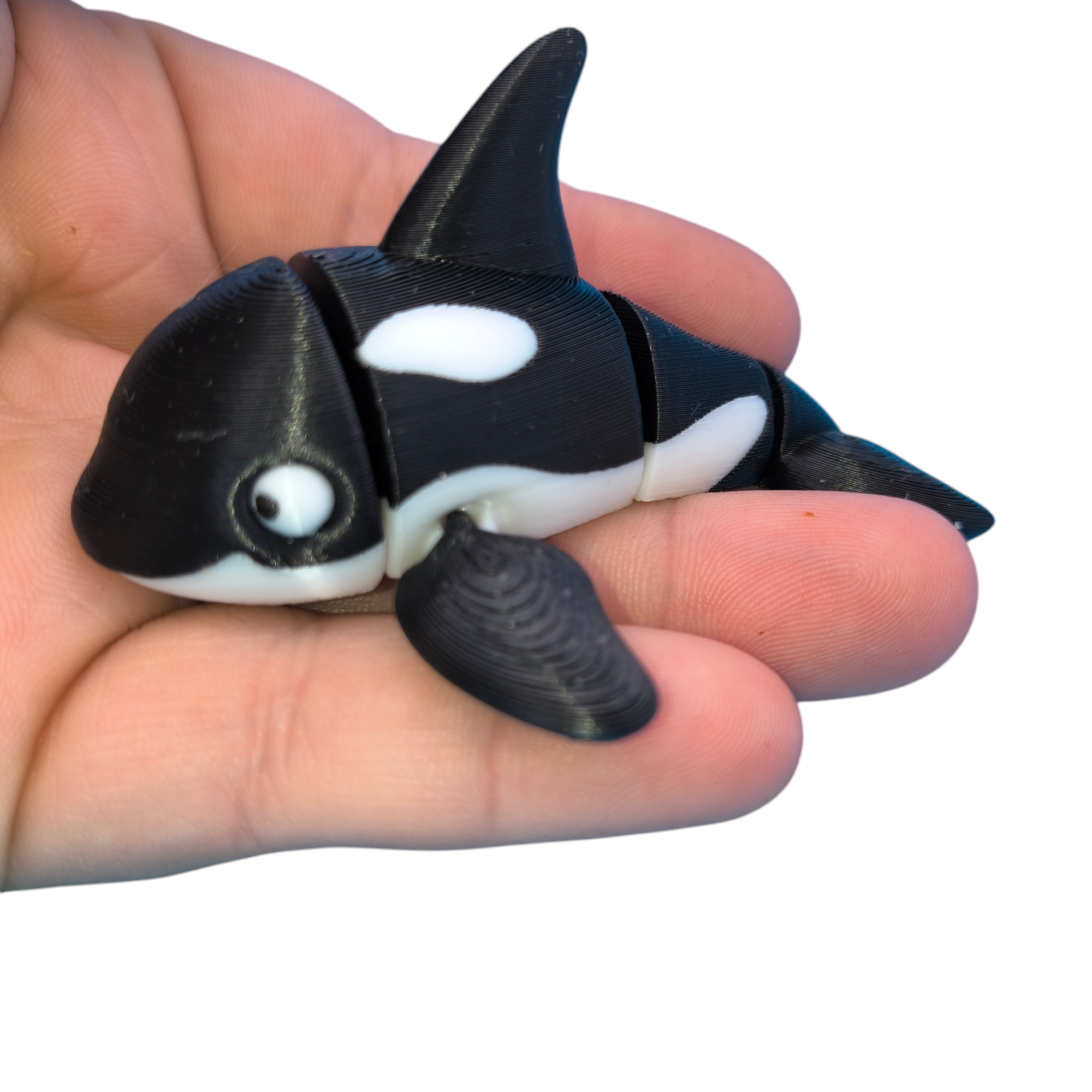 Orca Whale White Eyes