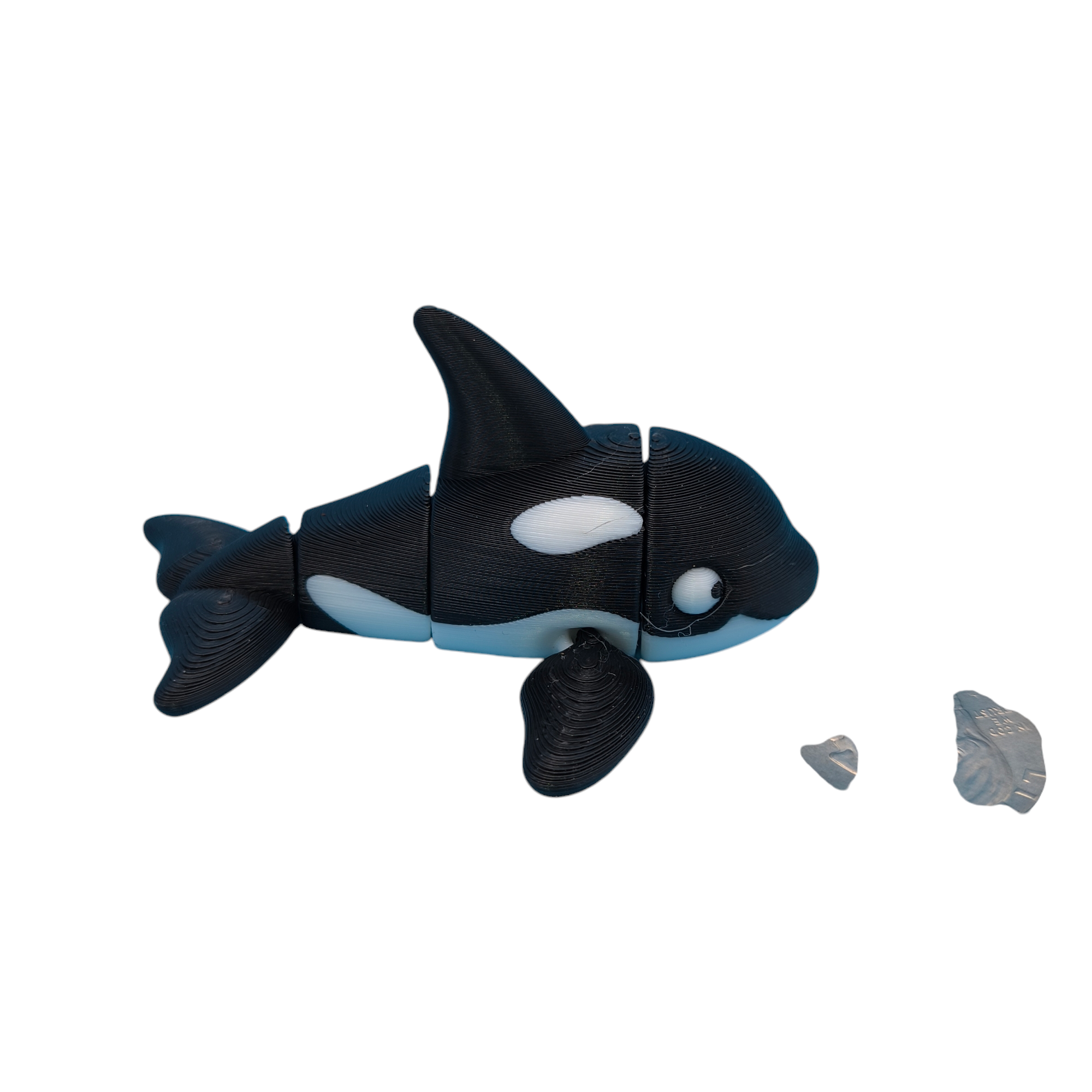 Orca Whale White Eyes