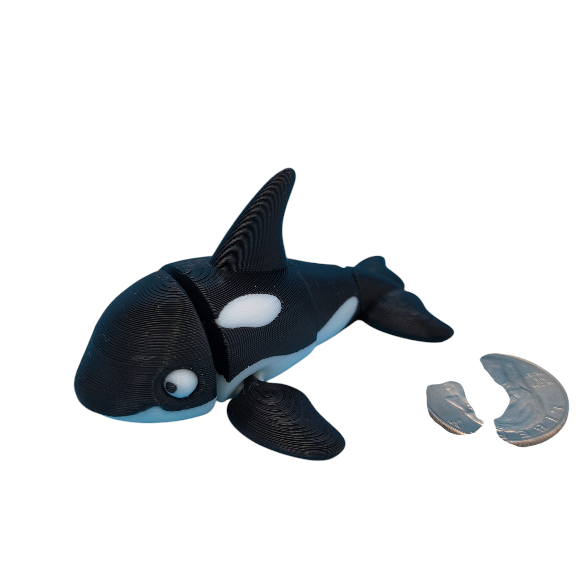 Orca Whale White Eyes