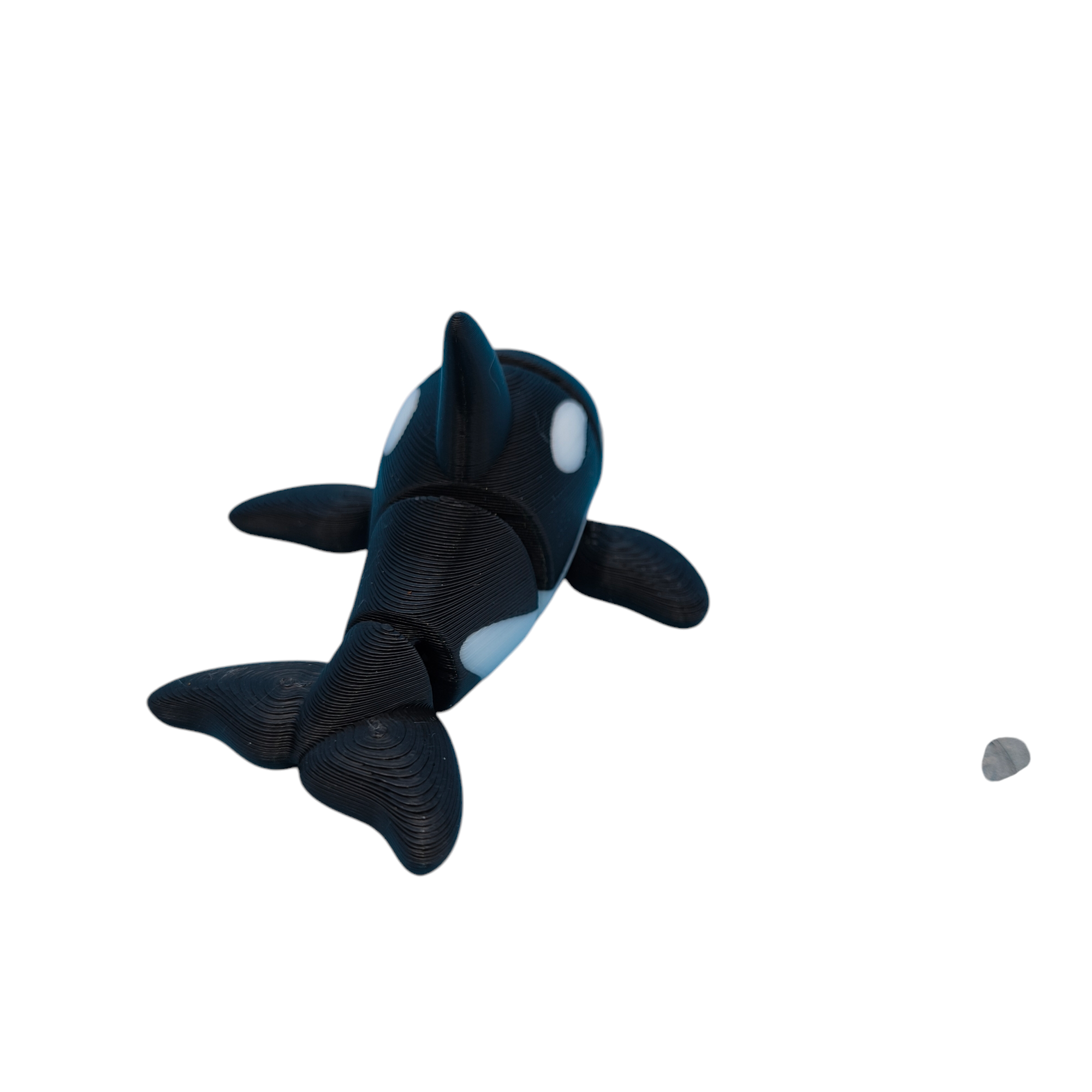 Orca Whale White Eyes