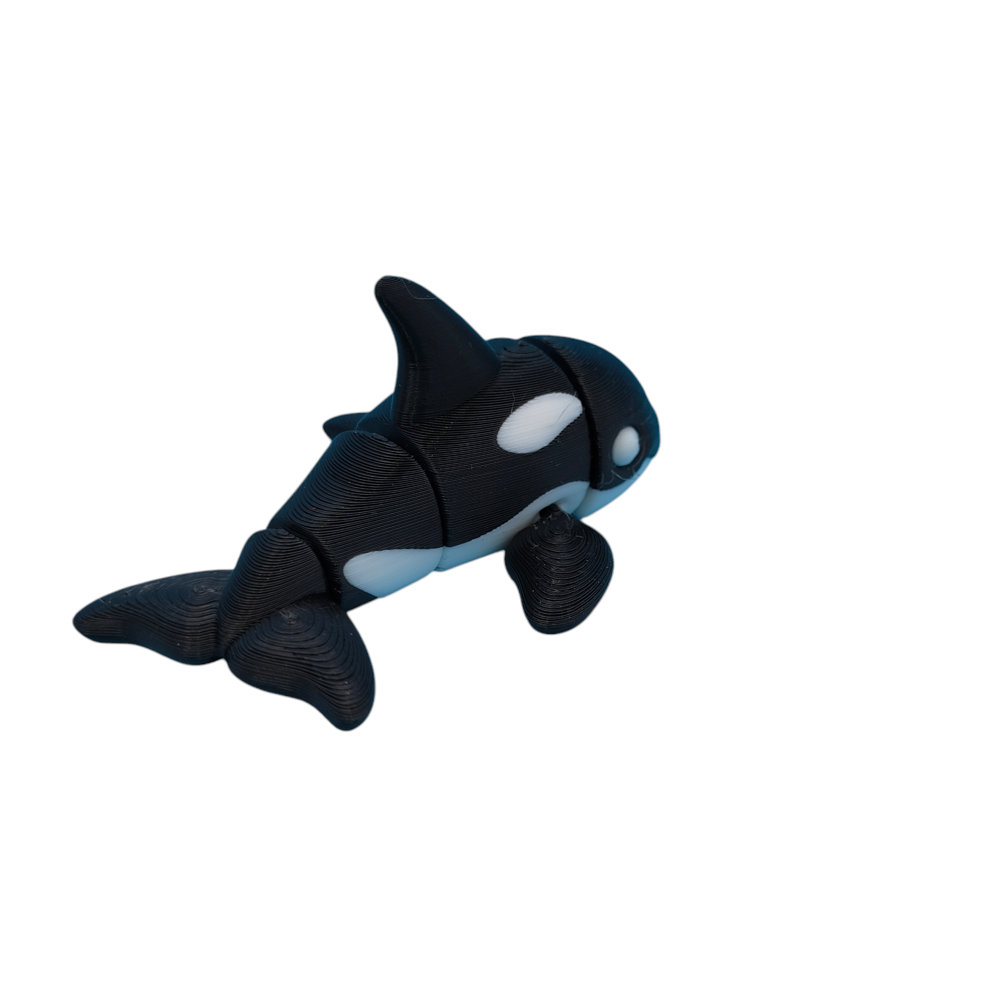 Orca Whale White Eyes