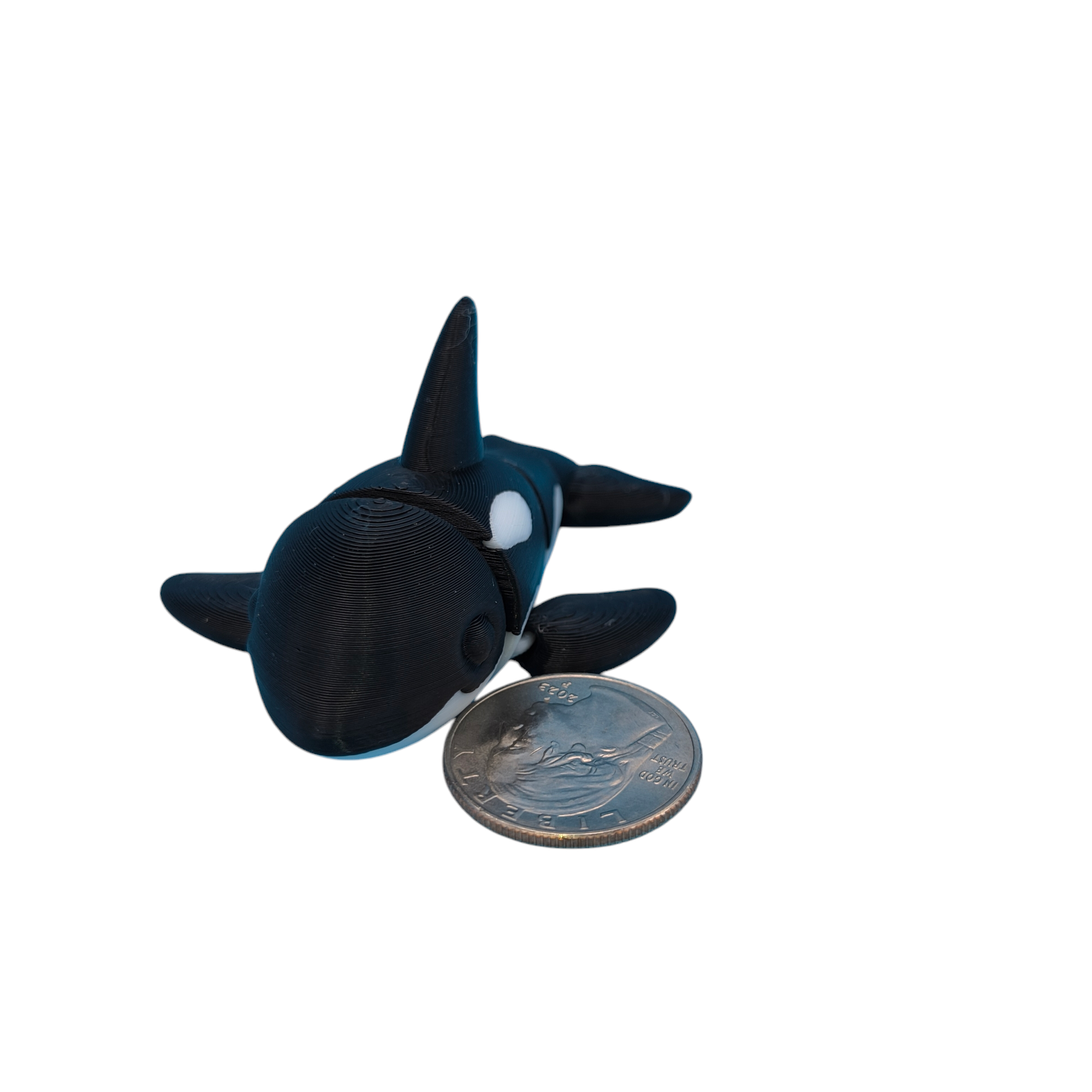 Orca Whale Black Eyes