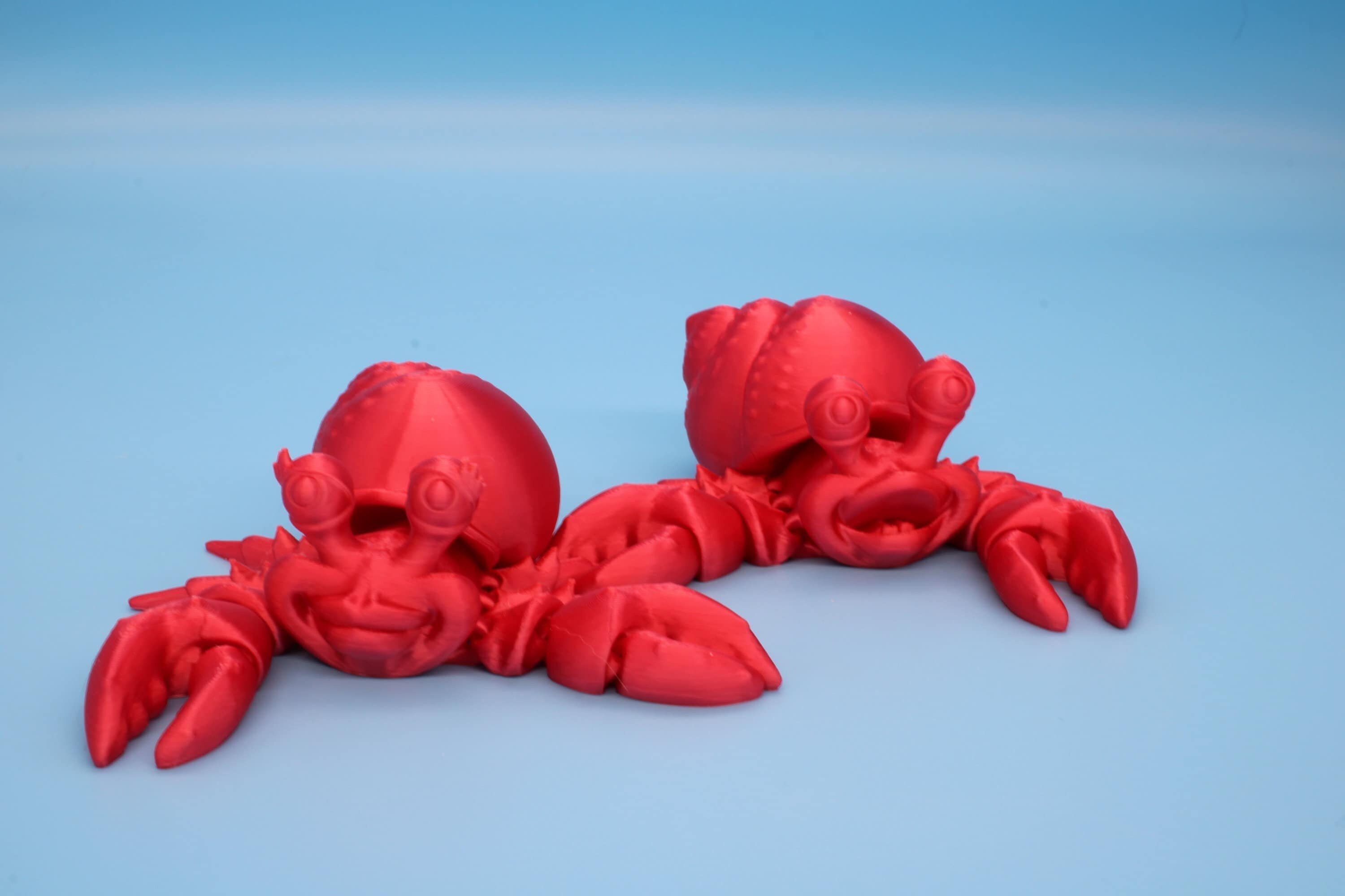 Hermit Crabs | Mr. & Mrs. | 3D Printed | Super Cute | Friendly Crabs.