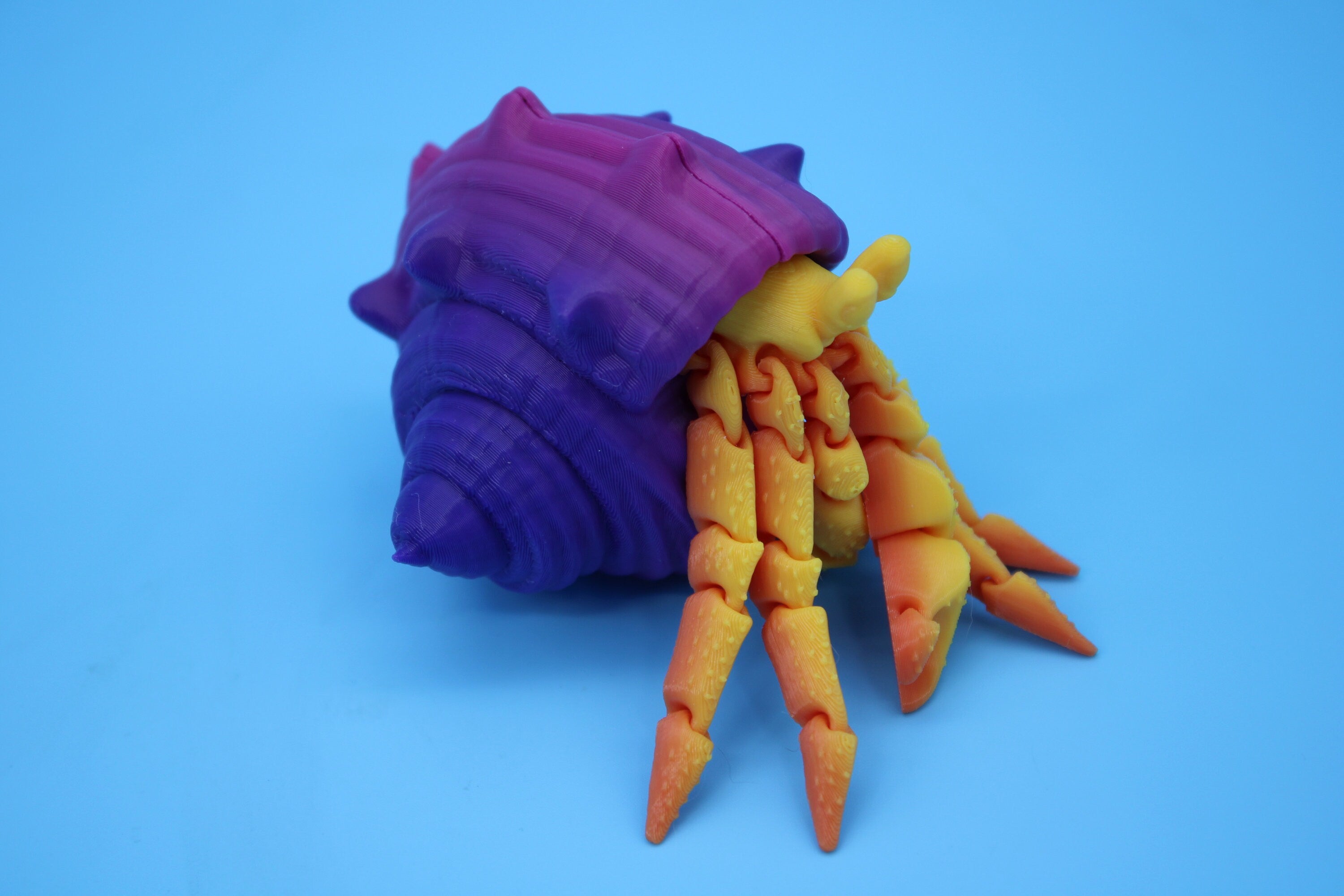 Small Hermit Crab