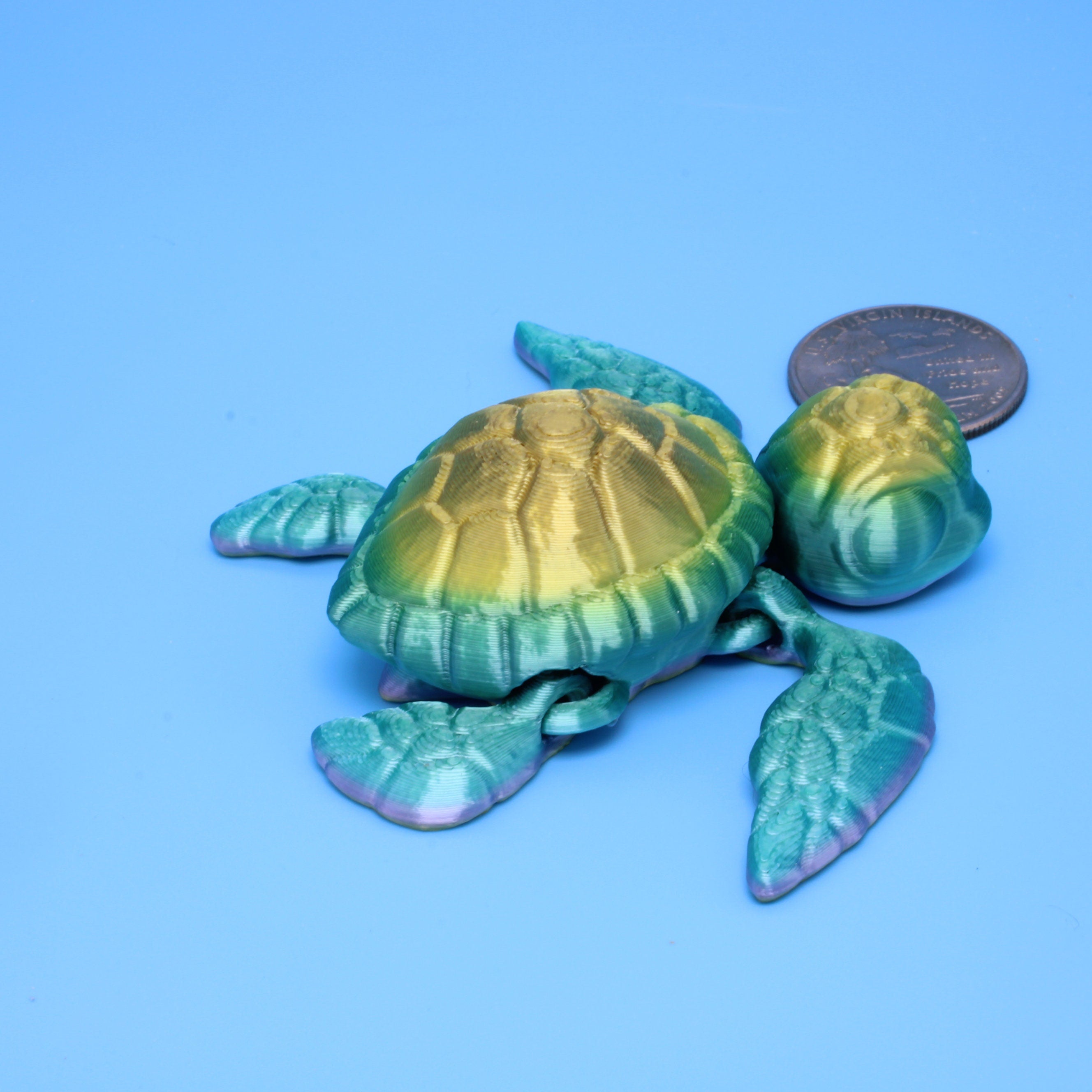 Flexi Turtle | 3D Printed - Authorized Seller of Cinderwing