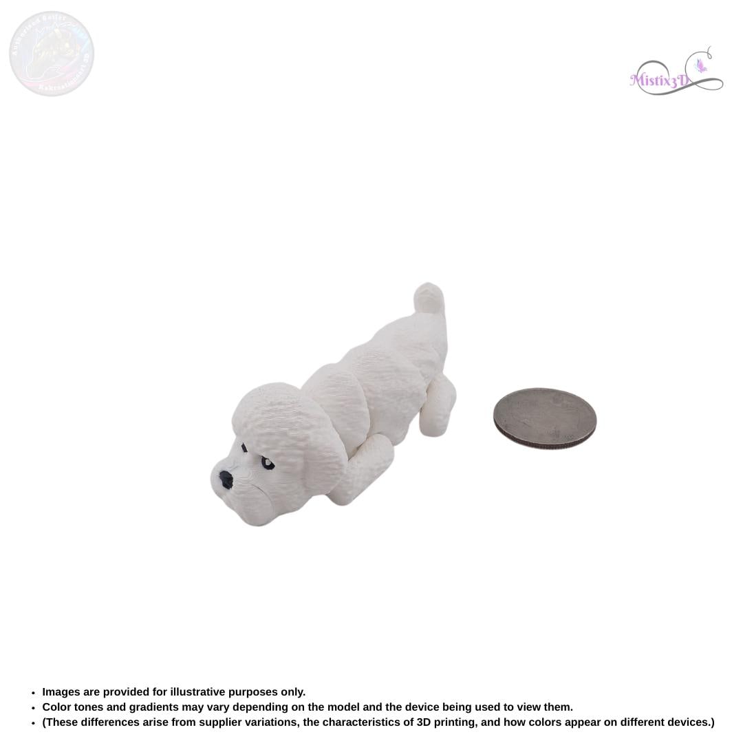 Bichon Frise 3D Printed Fidget – Authorized Seller of Kekreations