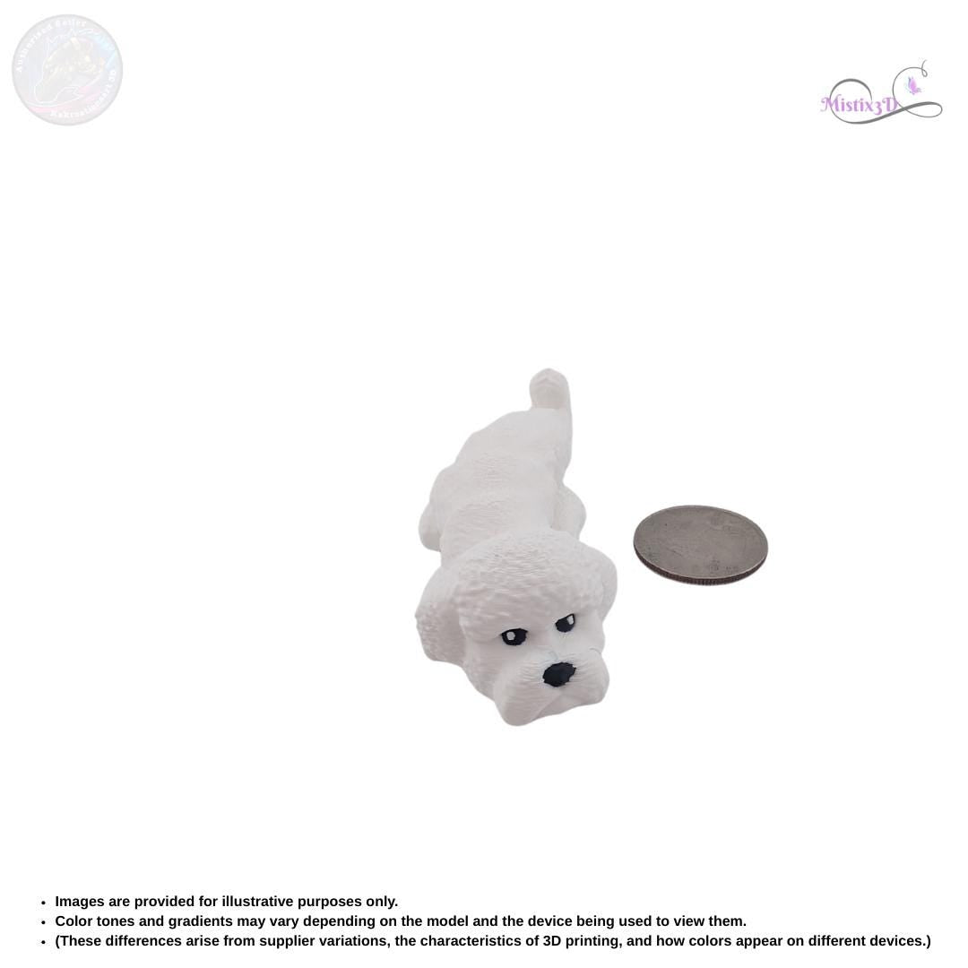 Bichon Frise 3D Printed Fidget – Authorized Seller of Kekreations