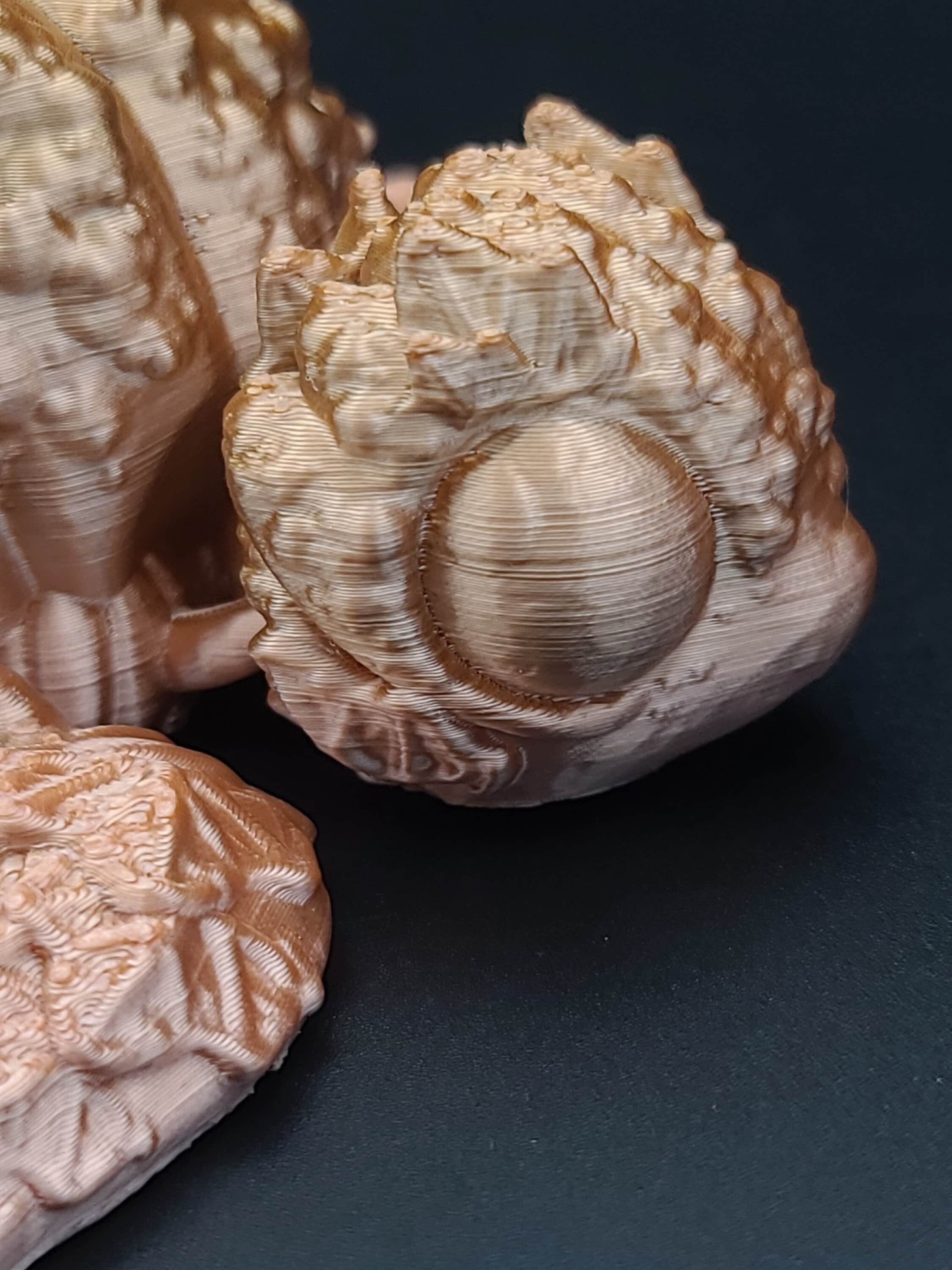 3D printed Multi Color Articulating Pumpkin Turtle. Flexi, Fidget Bumpkinurtle adult toy. 4.5 inch. Adorable turtle buddy. Great gift!