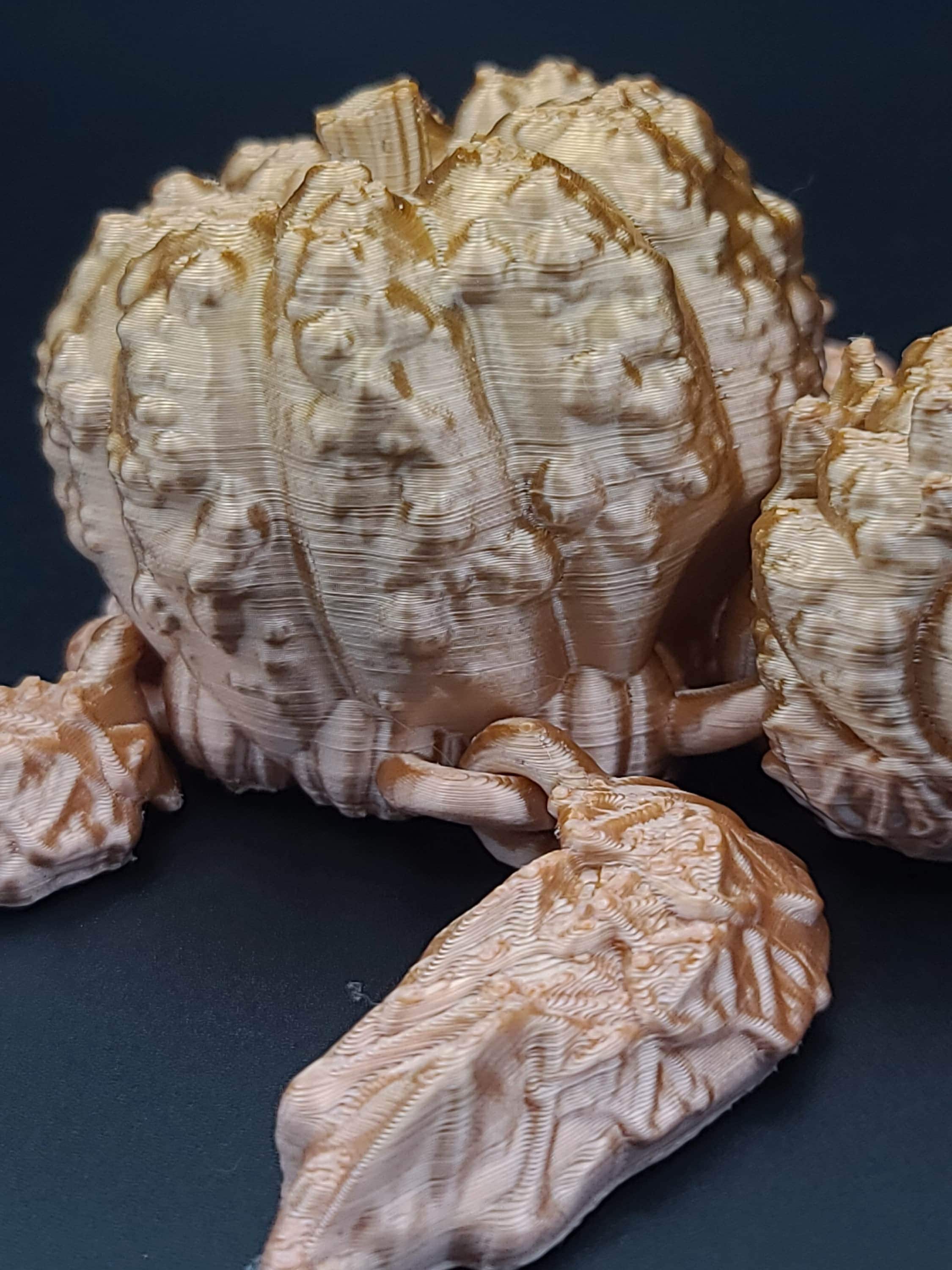 3D printed Multi Color Articulating Pumpkin Turtle. Flexi, Fidget Bumpkinurtle adult toy. 4.5 inch. Adorable turtle buddy. Great gift!