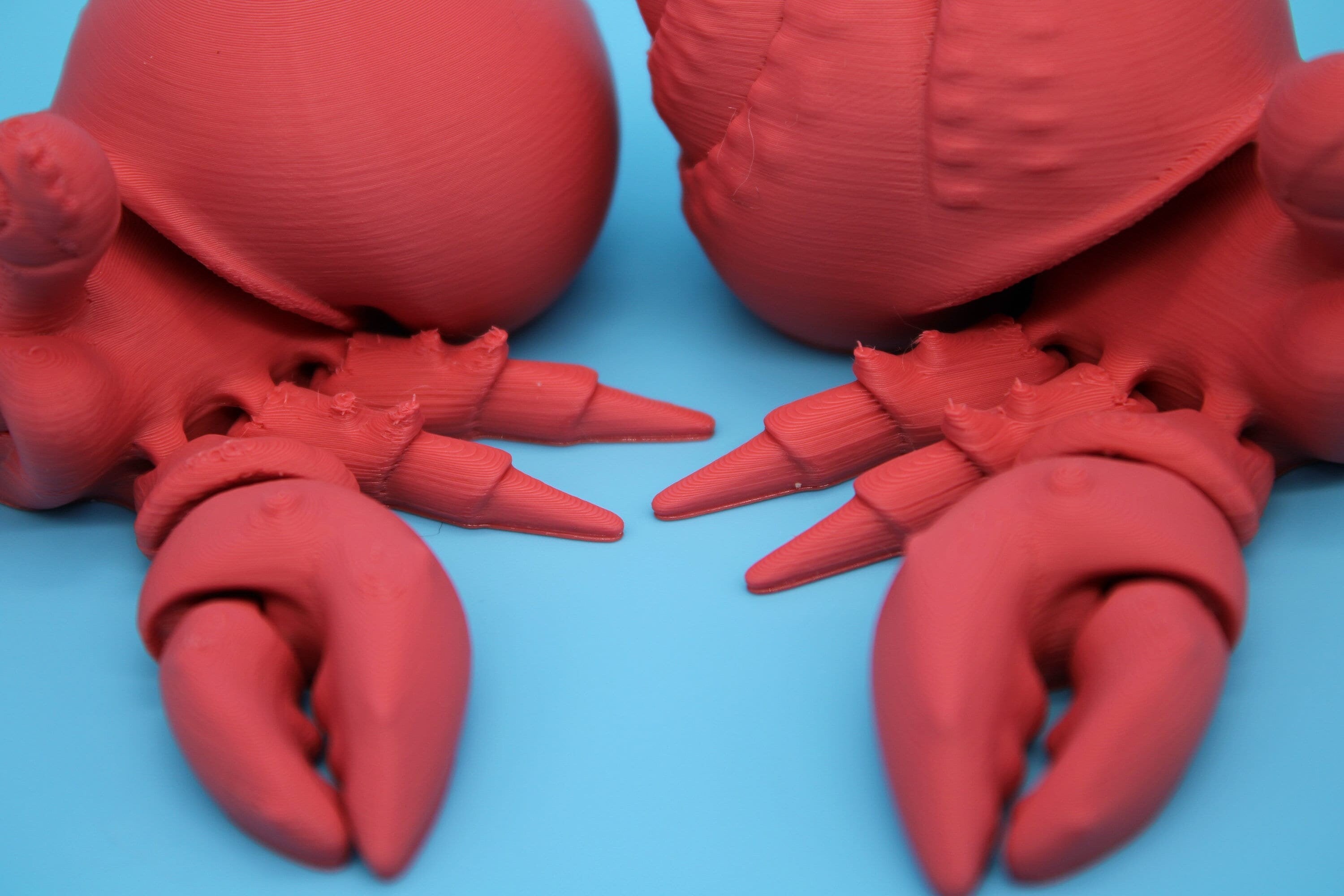 Hermit Crabs- Coral | Mr. & Mrs. | 3D Printed | Super Cute | Friendly Crabs.