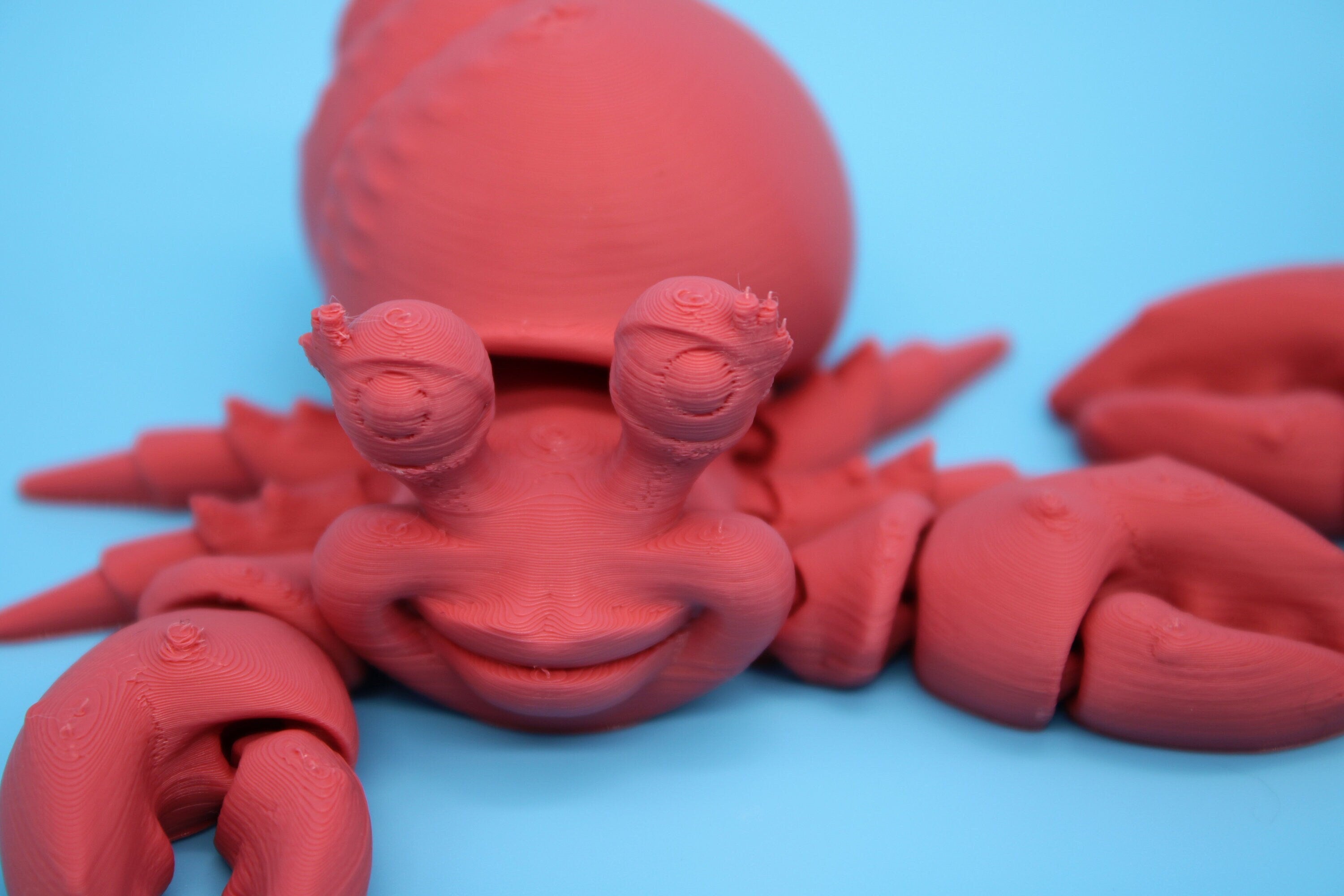 Hermit Crabs- Coral | Mr. & Mrs. | 3D Printed | Super Cute | Friendly Crabs.