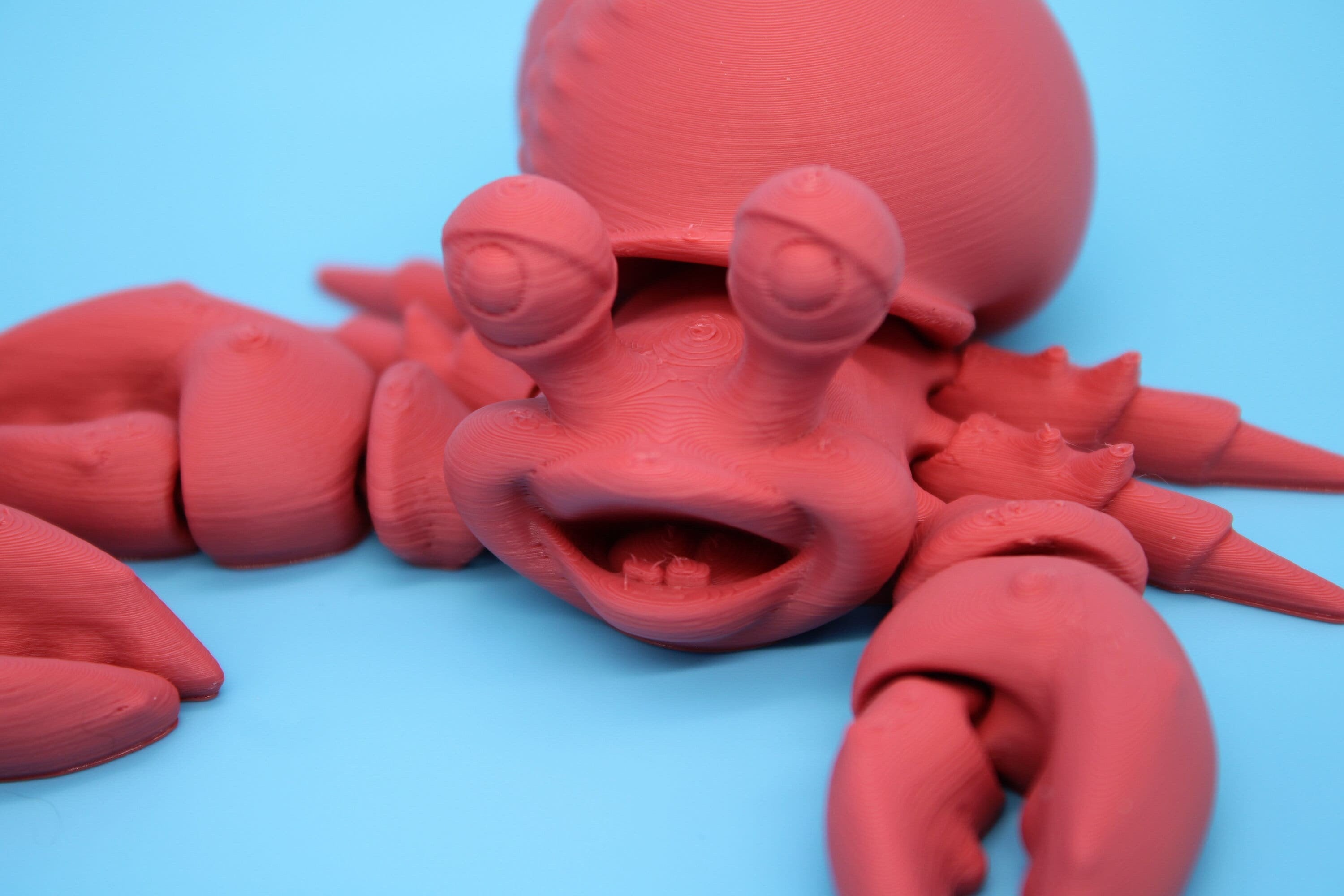 Hermit Crabs- Coral | Mr. & Mrs. | 3D Printed | Super Cute | Friendly Crabs.