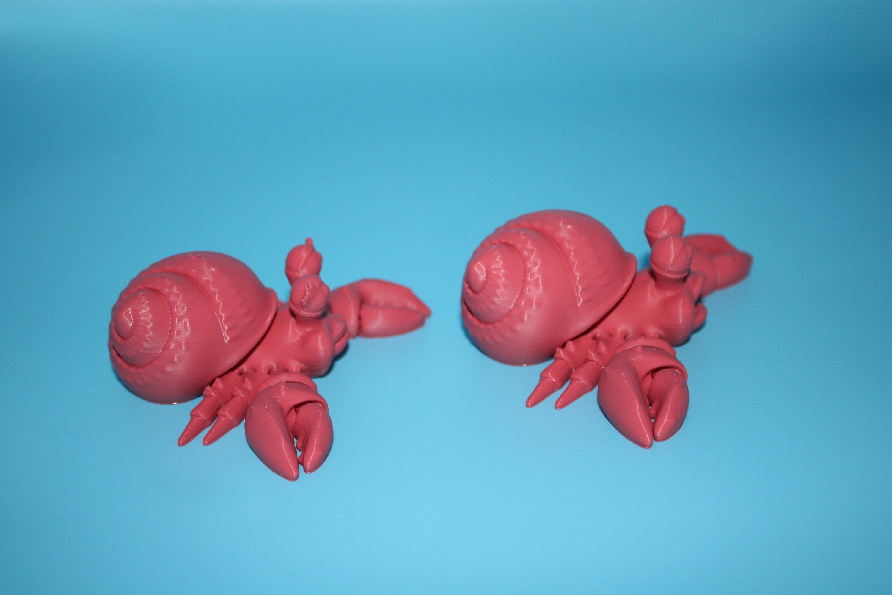 Hermit Crabs- Coral | Mr. & Mrs. | 3D Printed | Super Cute | Friendly Crabs.