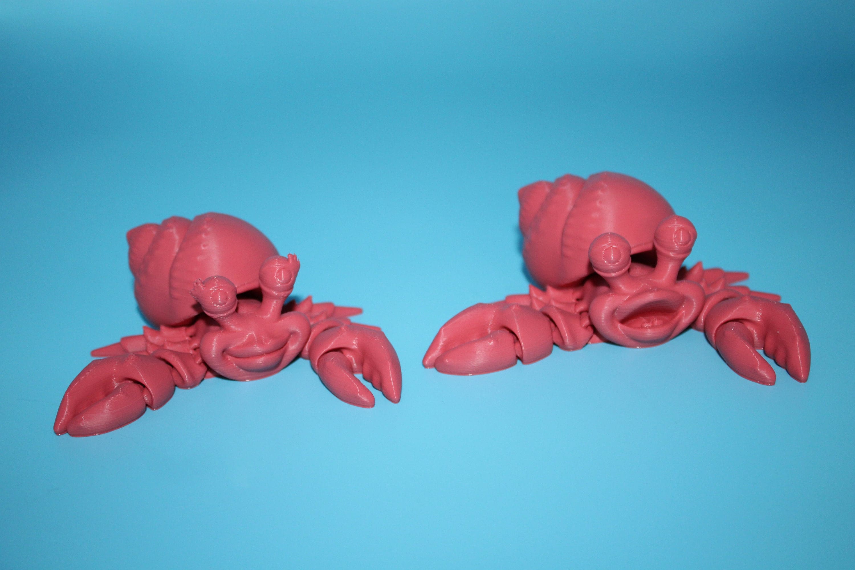 Hermit Crabs- Coral | Mr. & Mrs. | 3D Printed | Super Cute | Friendly Crabs.
