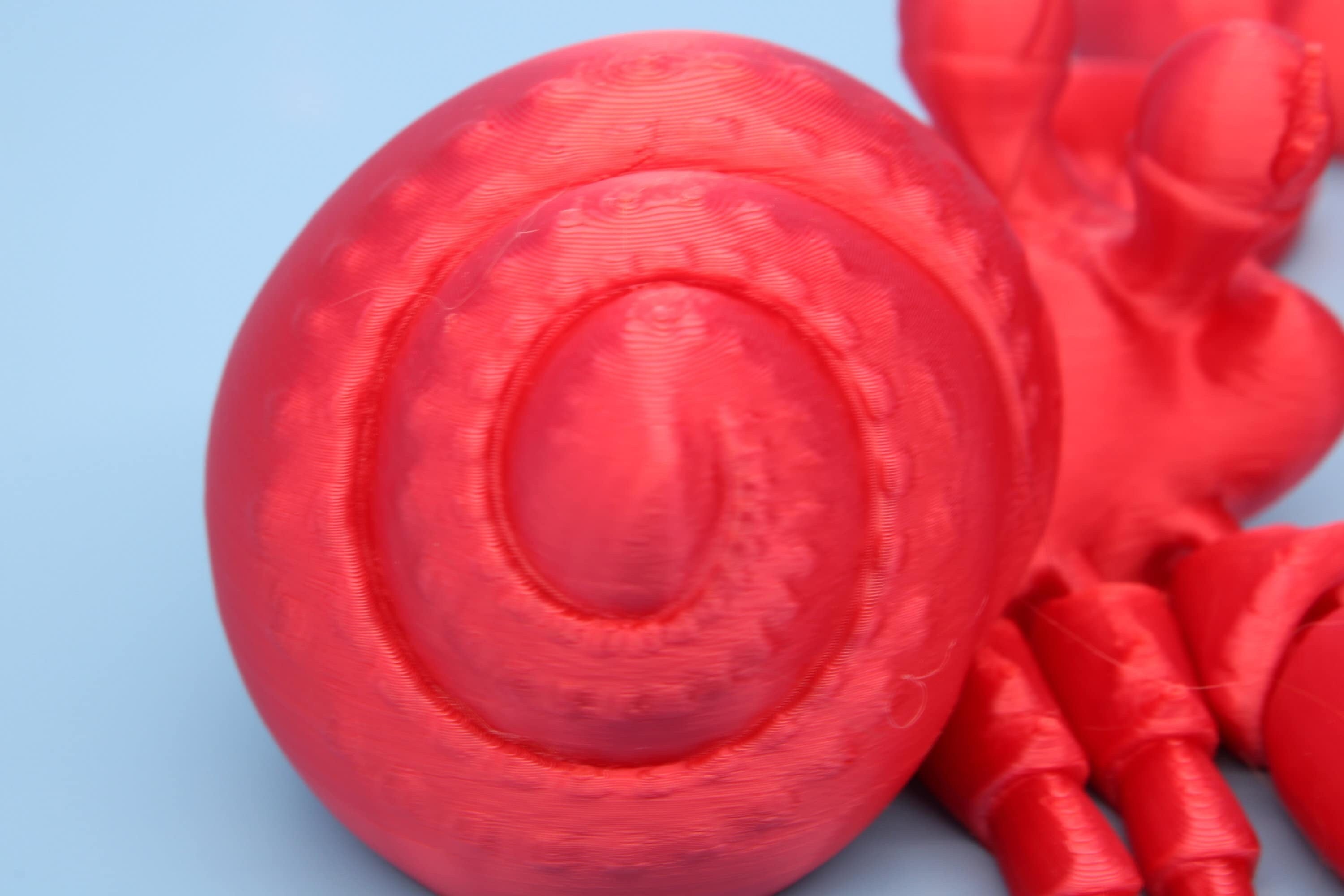 Hermit Crabs | Mr. & Mrs. | 3D Printed | Super Cute | Friendly Crabs.