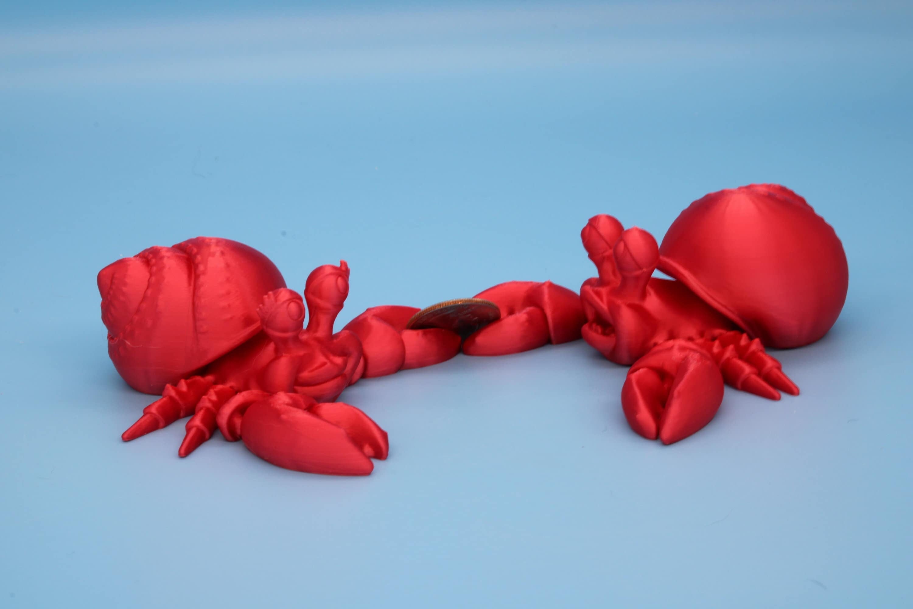 Hermit Crabs | Mr. & Mrs. | 3D Printed | Super Cute | Friendly Crabs.