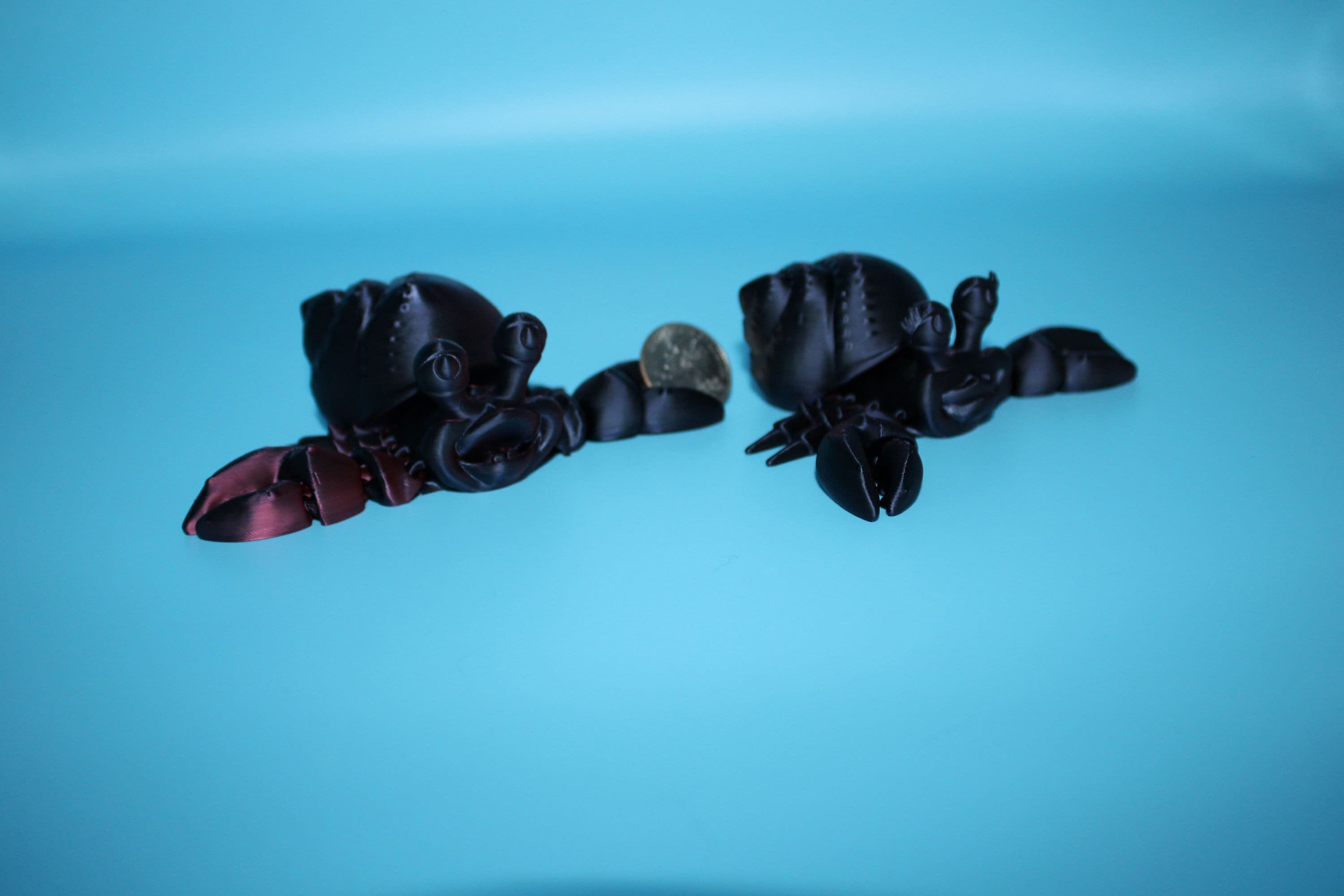 Hermit Crabs- Black / Red | Mr. & Mrs. | 3D Printed | Super Cute | Friendly Crabs.