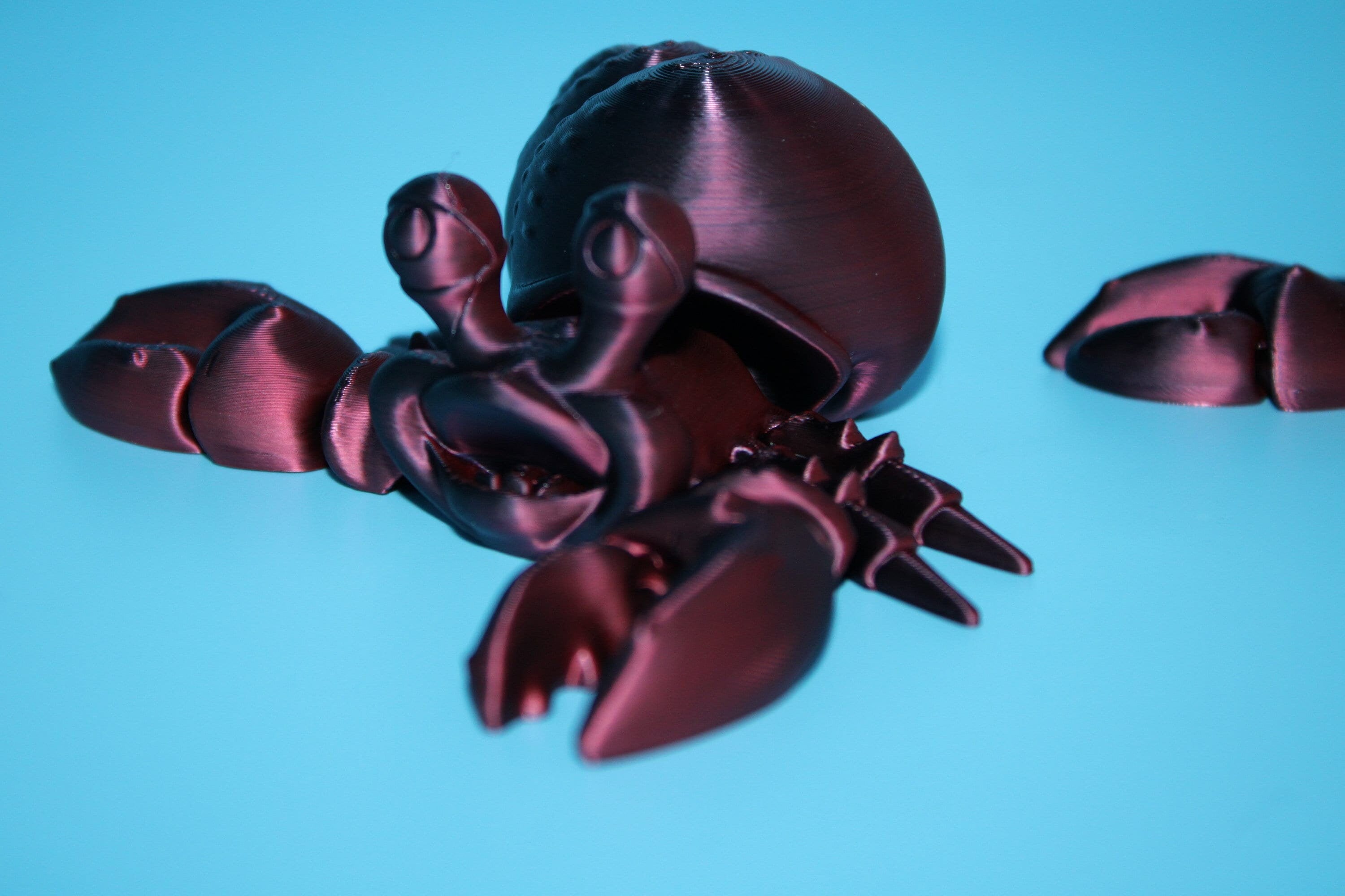 Hermit Crabs- Black / Red | Mr. & Mrs. | 3D Printed | Super Cute | Friendly Crabs.