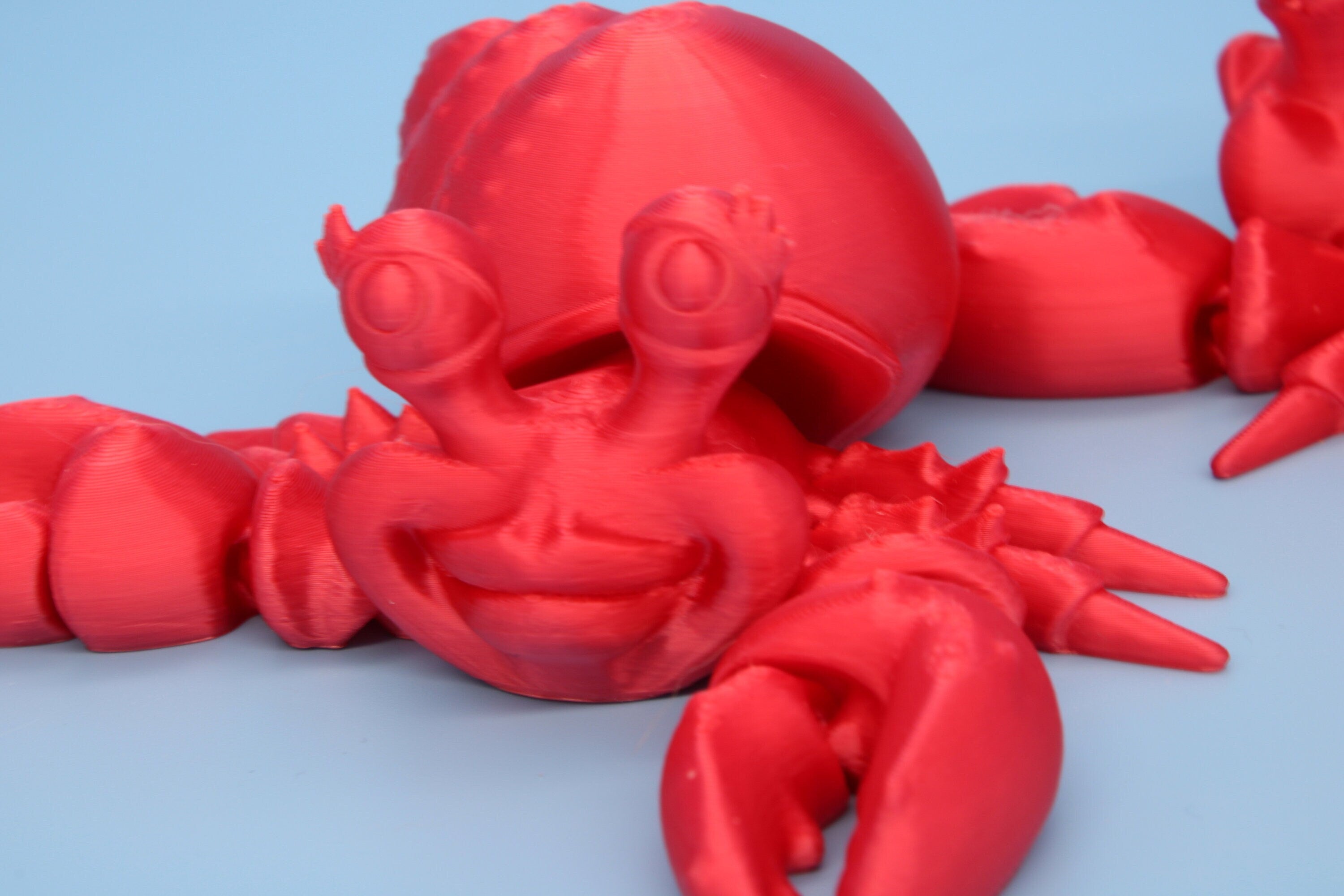 Hermit Crabs | Mr. & Mrs. | 3D Printed | Super Cute | Friendly Crabs.