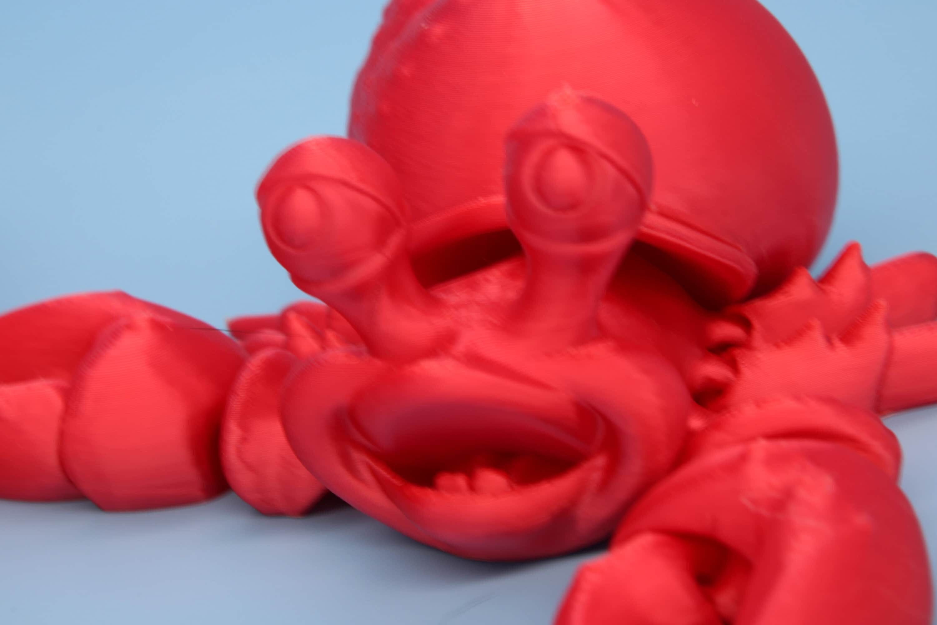 Hermit Crabs | Mr. & Mrs. | 3D Printed | Super Cute | Friendly Crabs.