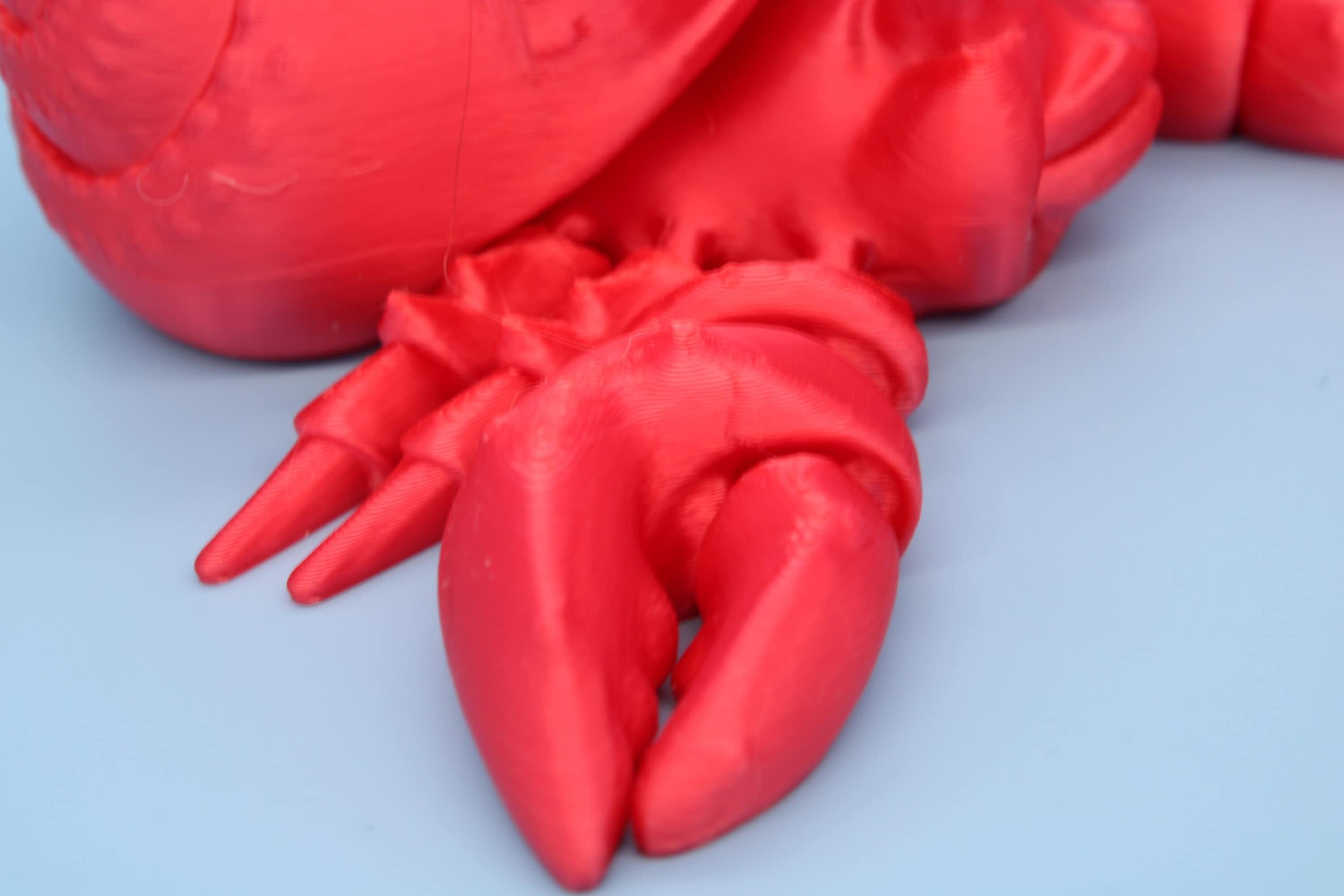 Hermit Crabs | Mr. & Mrs. | 3D Printed | Super Cute | Friendly Crabs.
