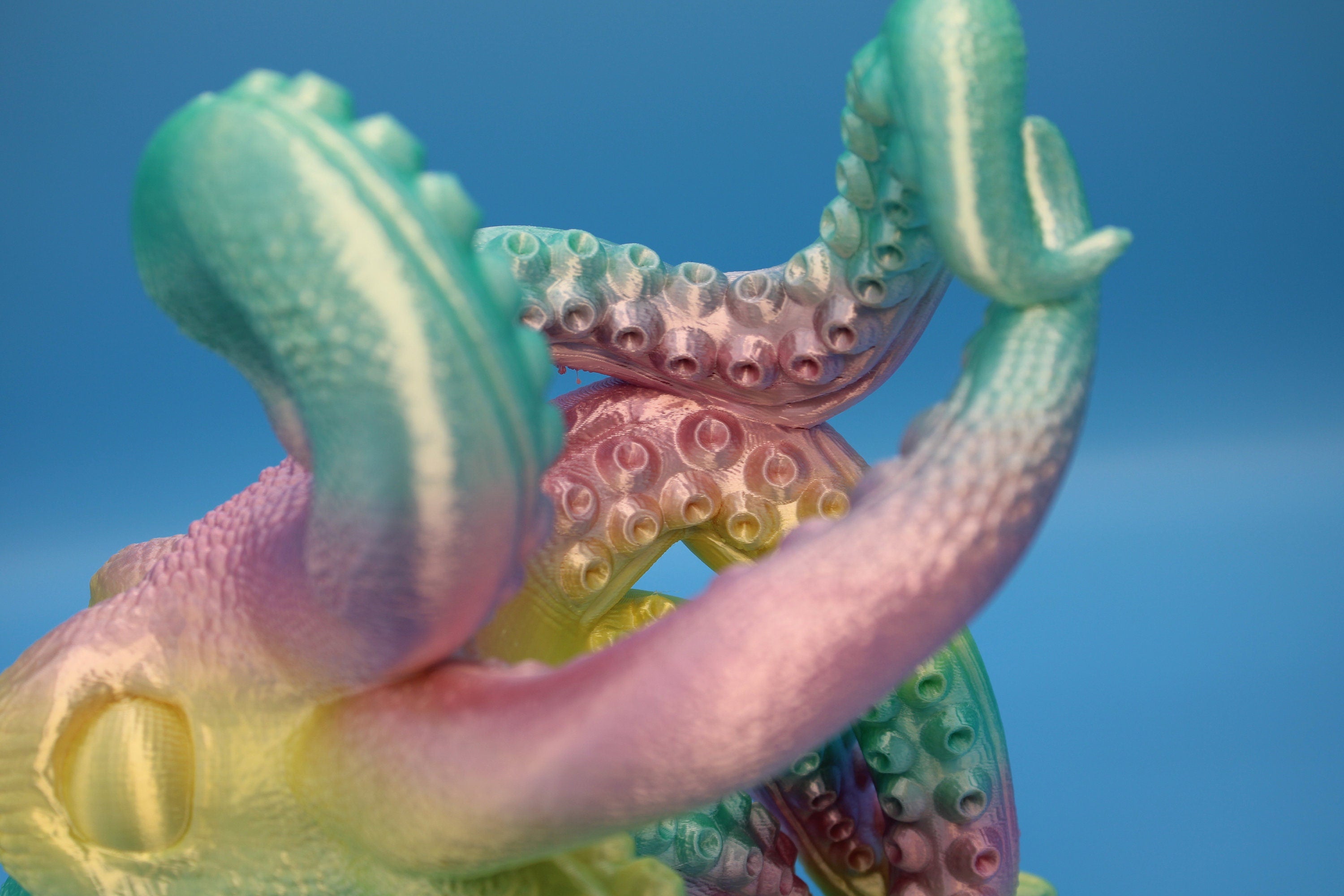 Rainbow Cute Octopus | Wine Bottle Holder | Bottle Display | 3D Printed Art | Holds Wine Bottles 750ml. standard size 9.5 in. circumference.