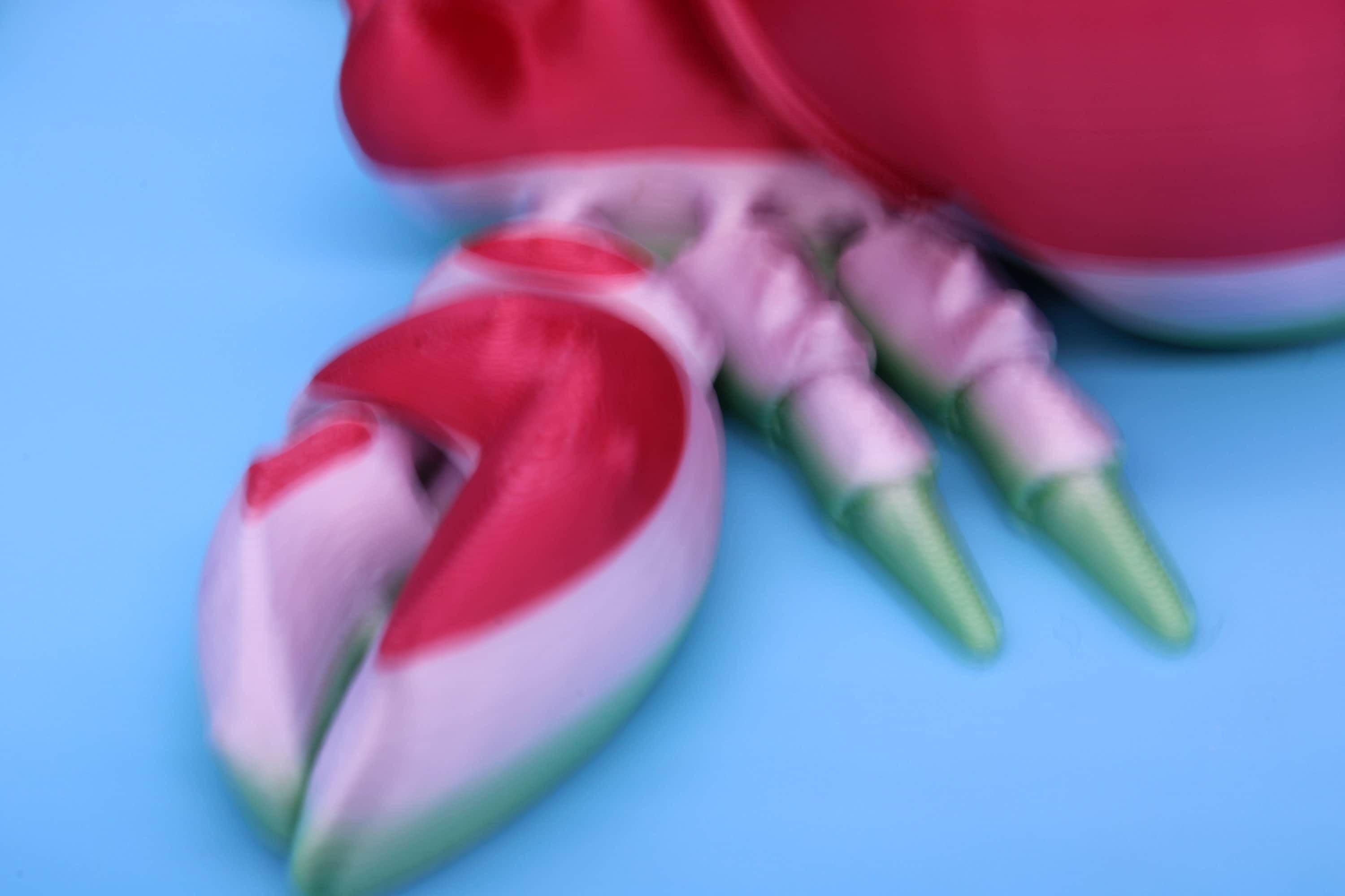 Articulating Multi Color Flexi Hermit Crab Mr. & Mrs. | 3D Printed. | Super cute, friendly crabs. | Great fidget toy, buddy, Sensory toy