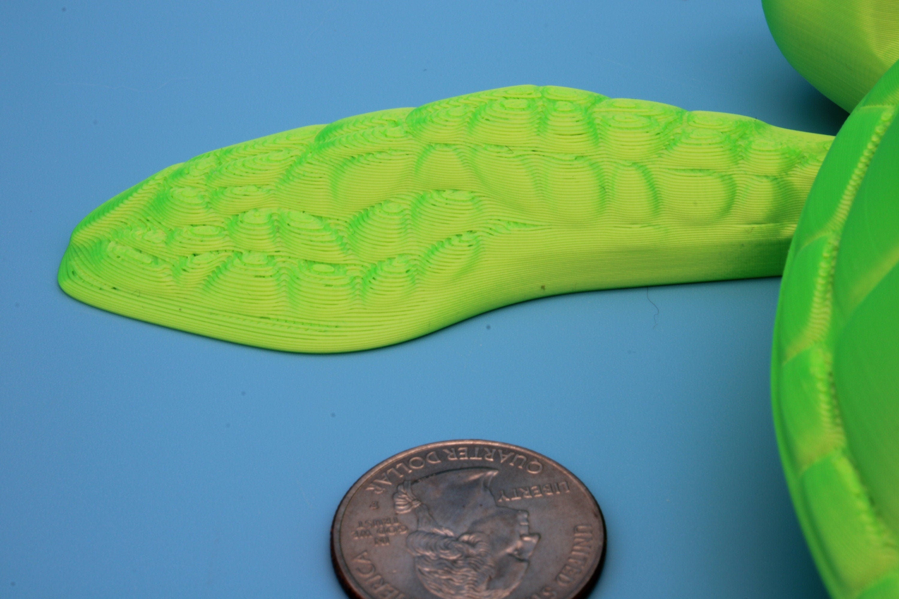 Green Turlte | Cute Flexi Toy | Articulating Turtle | 3D printed Unique Fidget | Desk Buddy | 8 in.