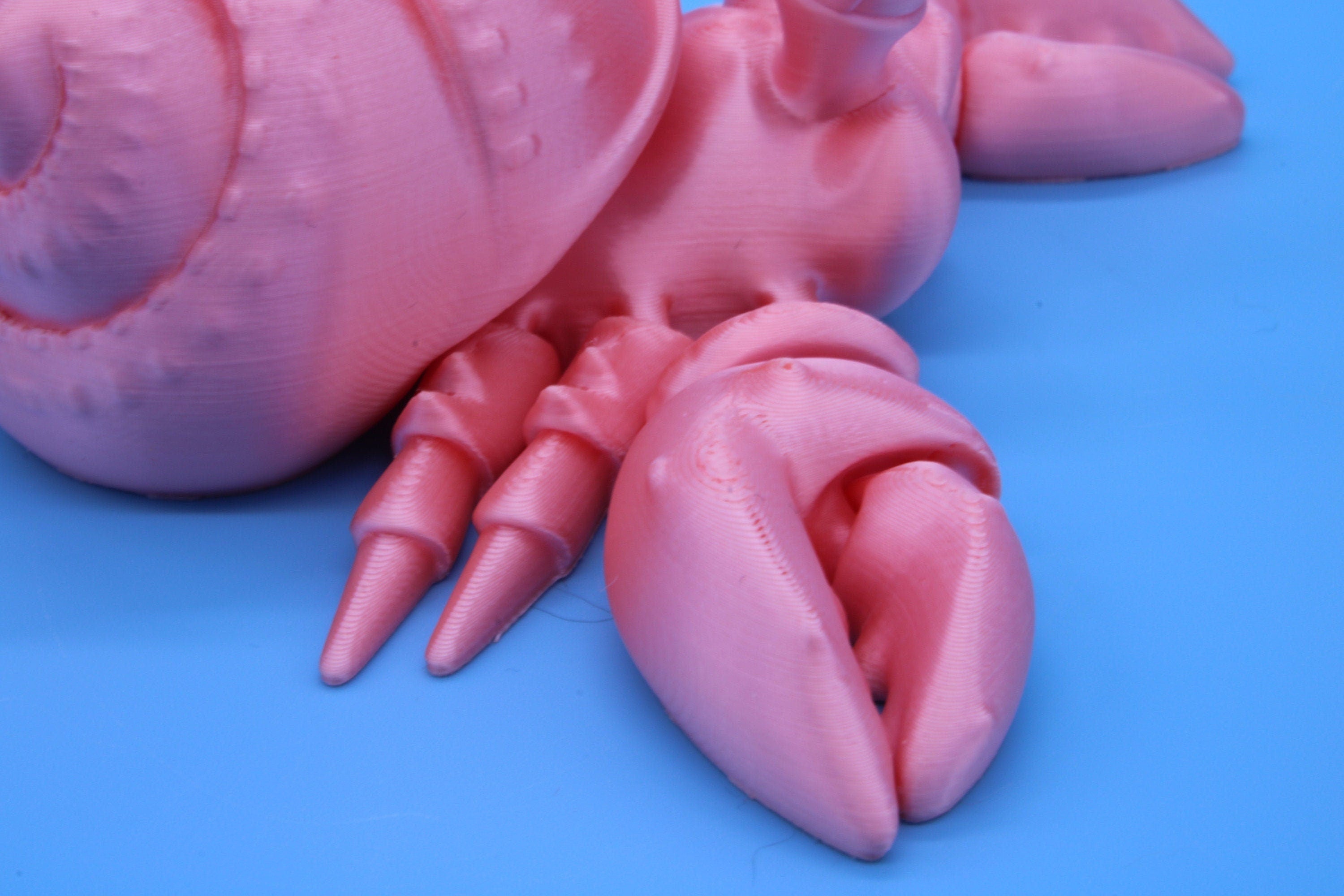 Pink Flexi Hermit Crab | 3D Printed. | Super cute, friendly crab. | Great fidget toy, buddy, Sensory toy