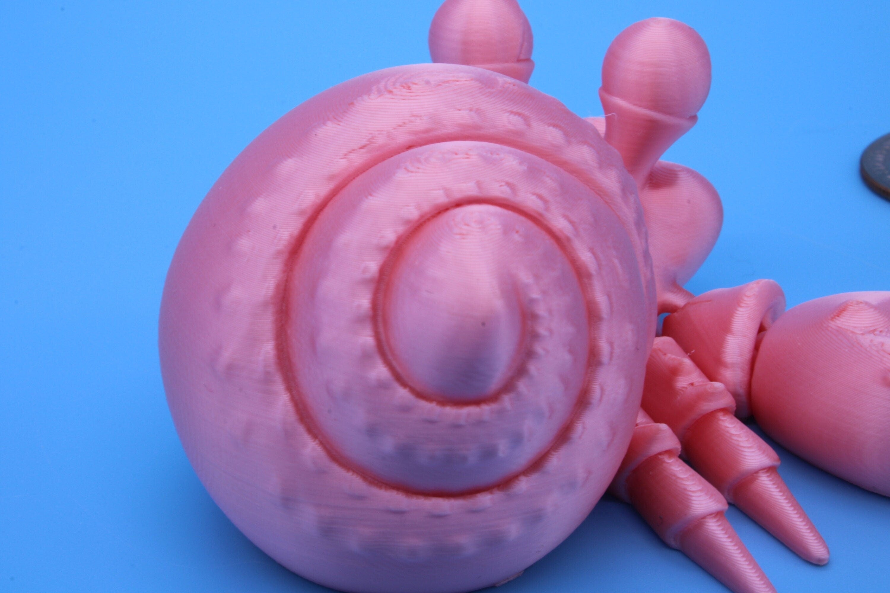 Pink Flexi Hermit Crab | 3D Printed. | Super cute, friendly crab. | Great fidget toy, buddy, Sensory toy