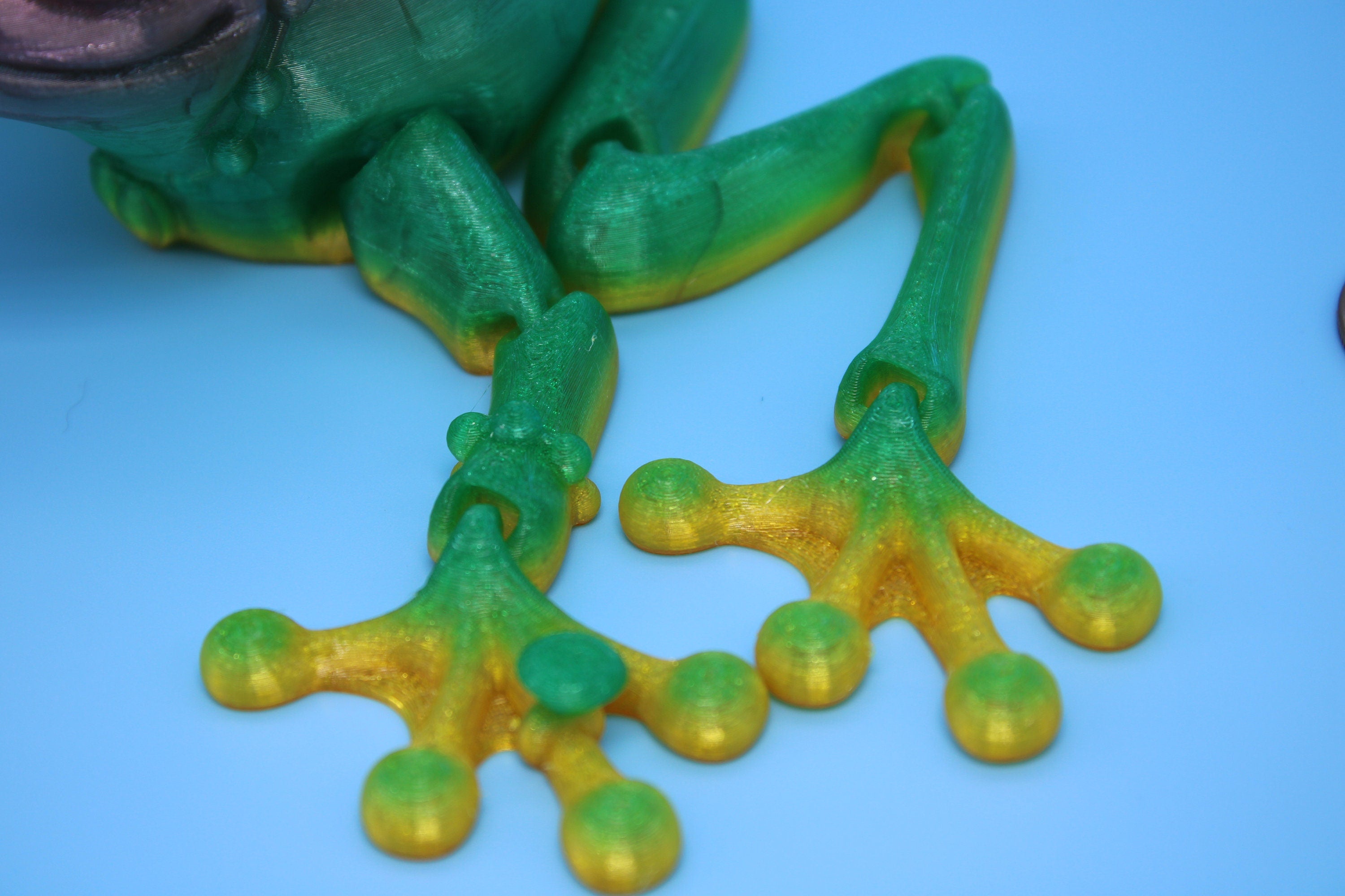 Rainbow Princess Frog | Flexible (TPU) | Cute Flexi Toy | Articulating Frog | 3D printed Unique Fidget | Desk Buddy
