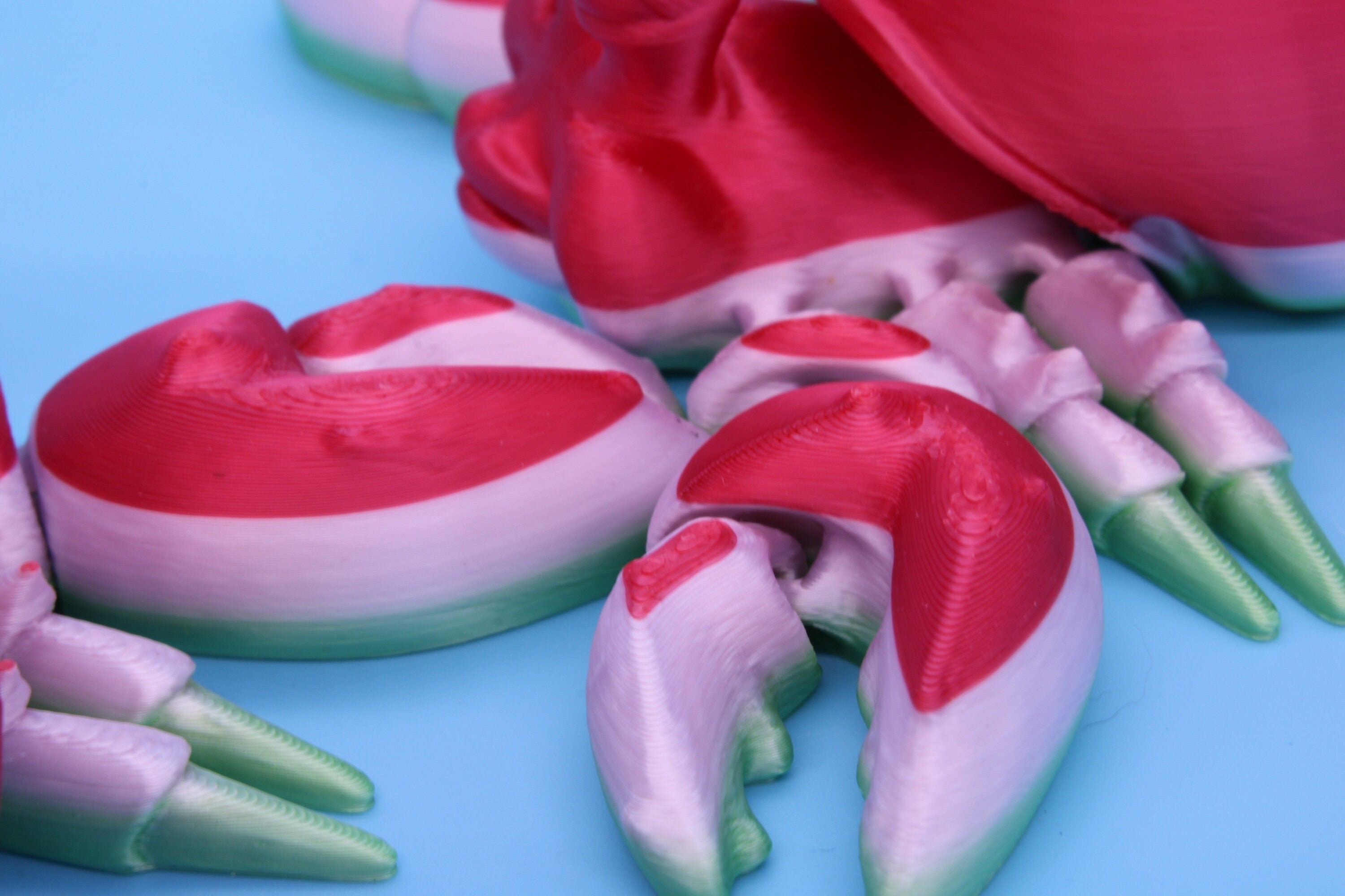 Articulating Multi Color Flexi Hermit Crab Mr. & Mrs. | 3D Printed. | Super cute, friendly crabs. | Great fidget toy, buddy, Sensory toy