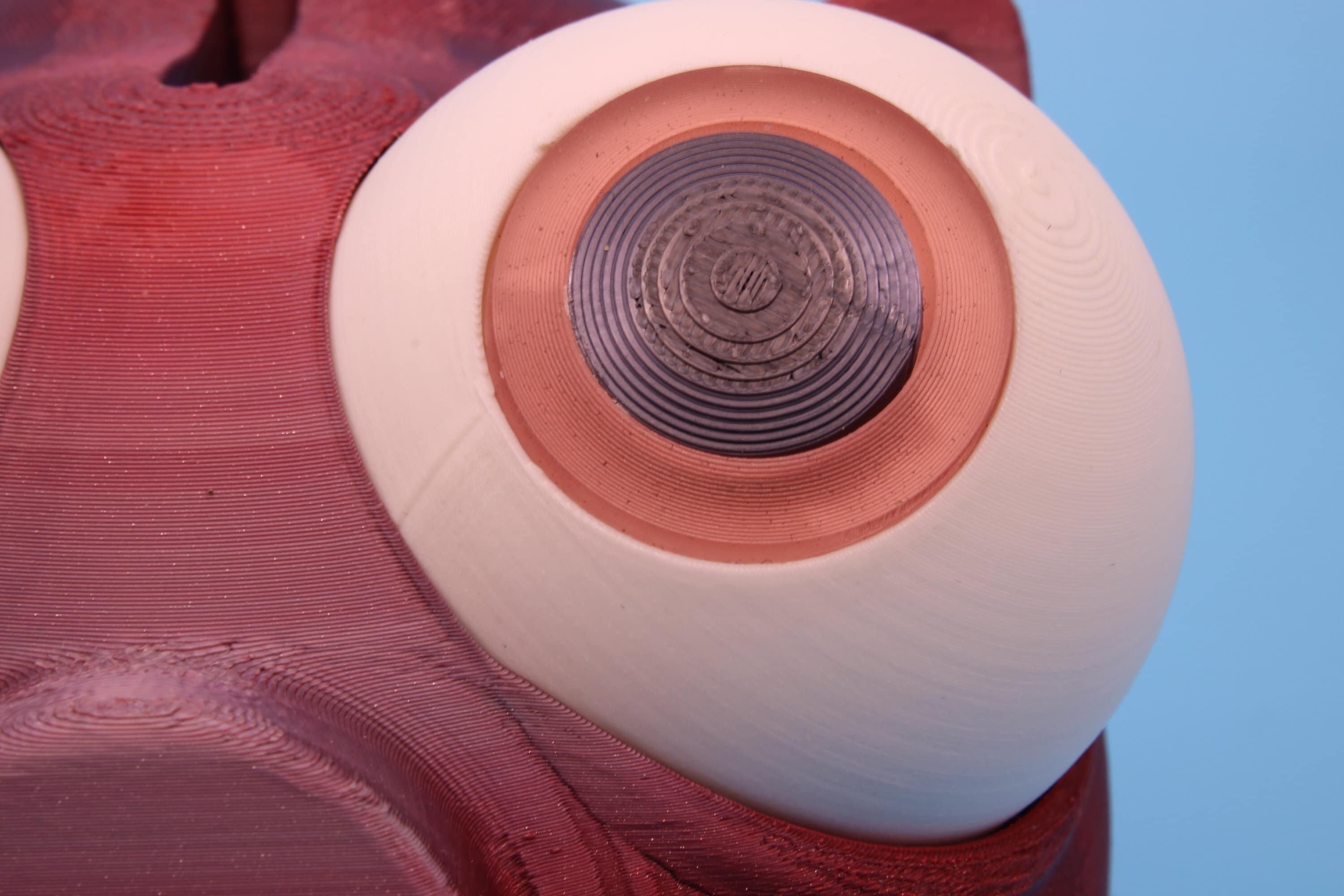Multi Color Cute Piggy Bank | Eyes Do NOT Move | 3D Printed. Holds Coins | Looks Amazing on display | Removable Turn Knob To Get Coins Out.