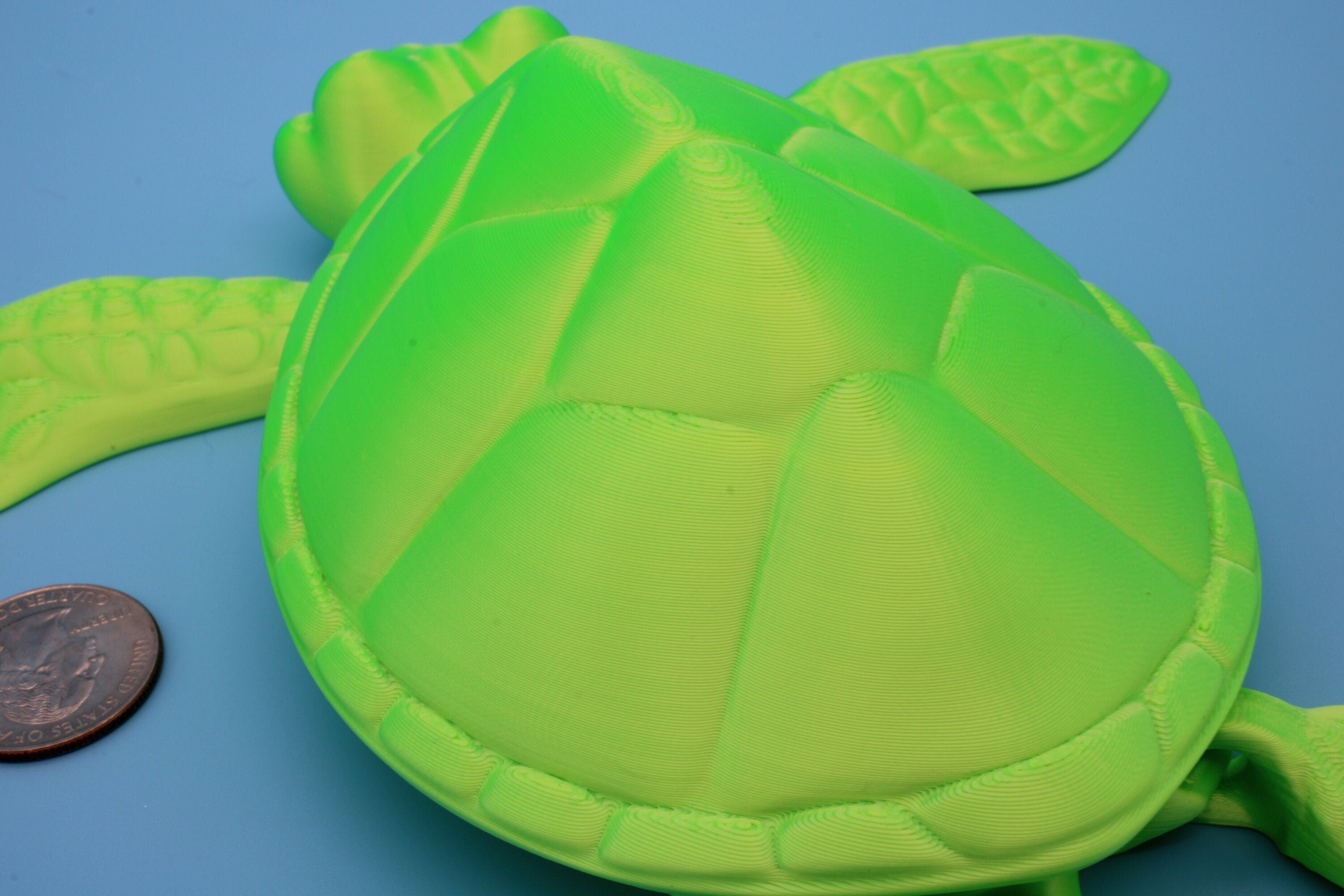 Green Turlte | Cute Flexi Toy | Articulating Turtle | 3D printed Unique Fidget | Desk Buddy | 8 in.