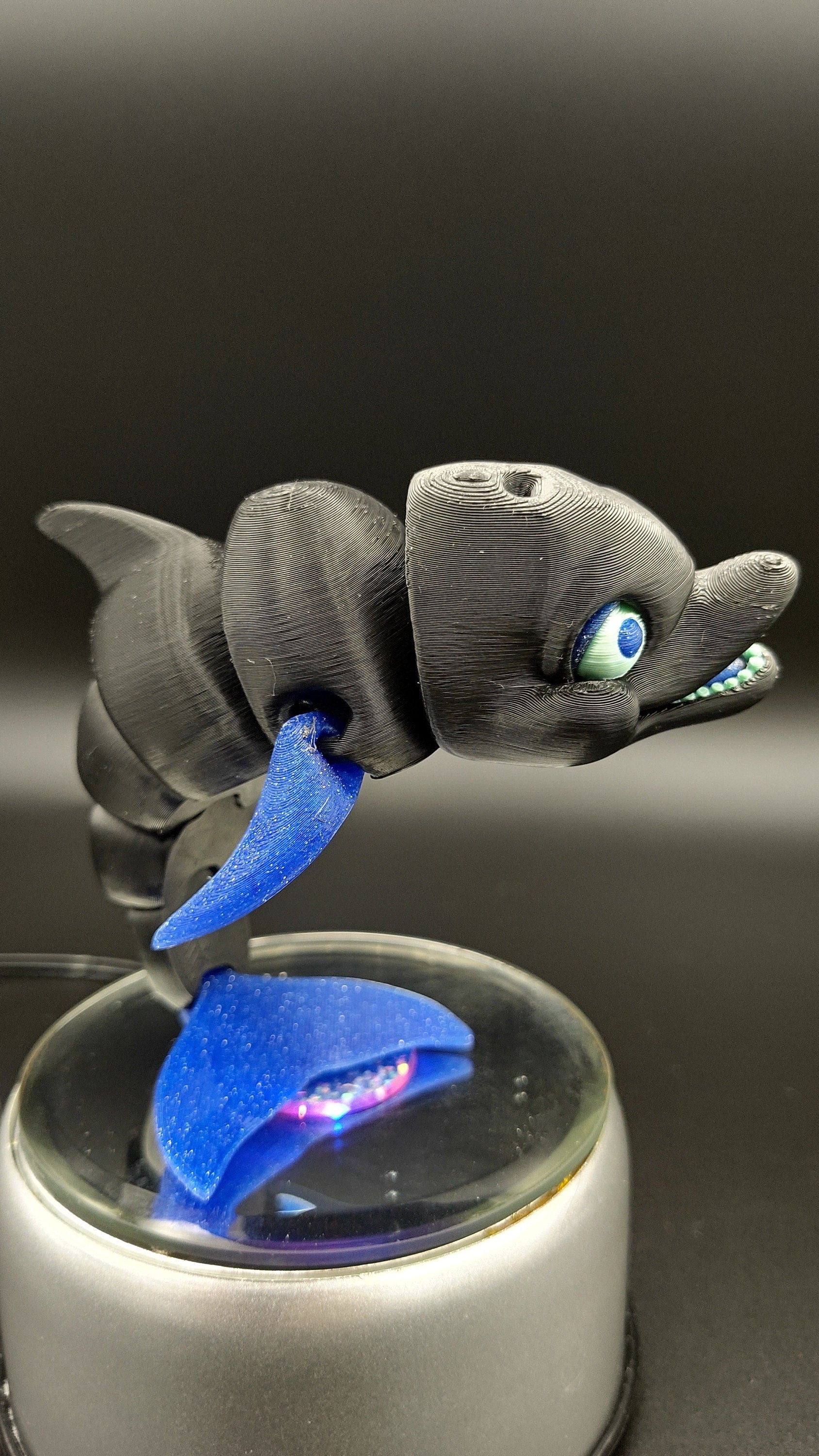 Flexi Dolphin. Multi Color Print. No Paint. Articulating Super Cute Dolphin. Great fidget toy. Desk buddy. Sensory toy dolphin . Desk toy