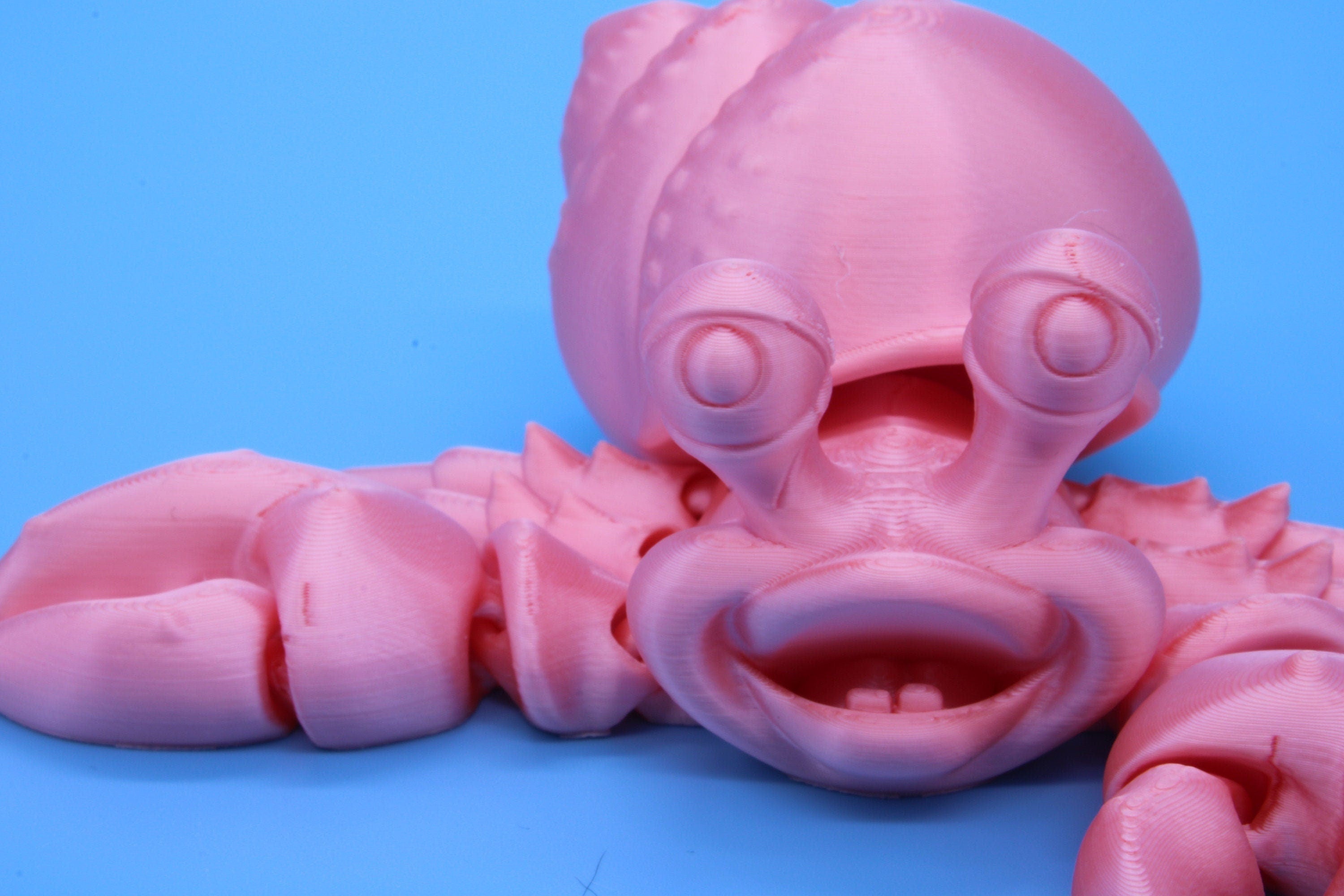 Pink Flexi Hermit Crab | 3D Printed. | Super cute, friendly crab. | Great fidget toy, buddy, Sensory toy