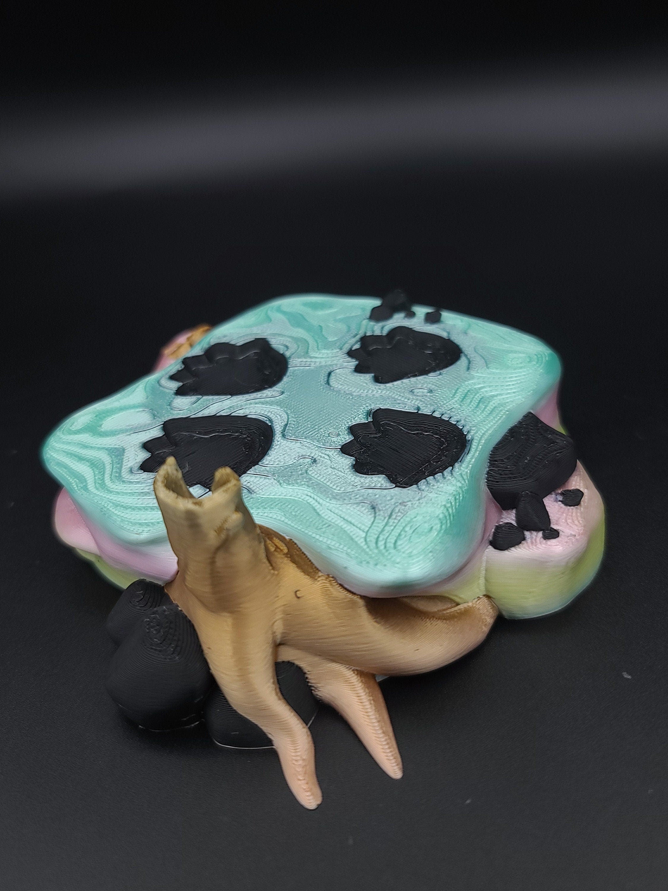 Rainbow Triceratops Stand 3D Printed. Stand for Triceratops. Super cute to show off your dinosaur. Display for your favorite Dino