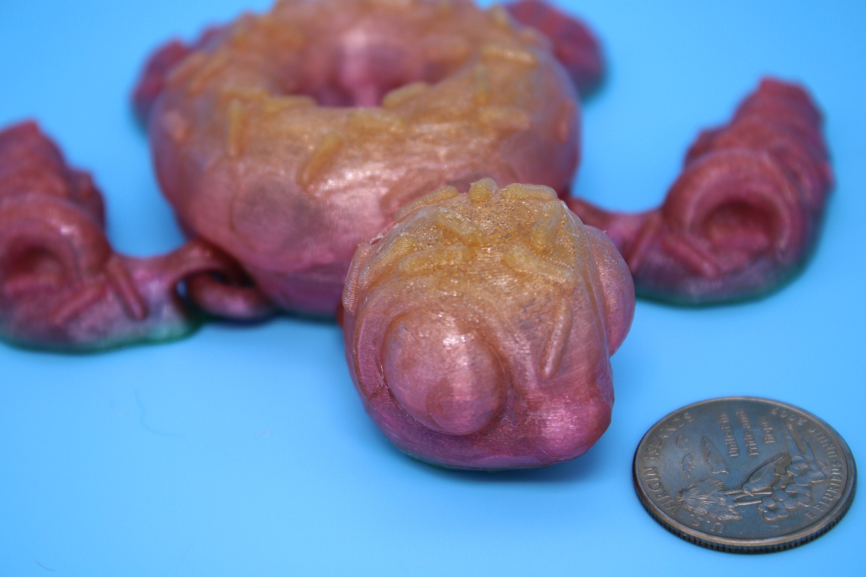 Turtle - Doughnut Turtle | Articulating (Donurtle) | 3D Printed TPU | Flexi Fidget Turtle | Desk Fidget Toy.