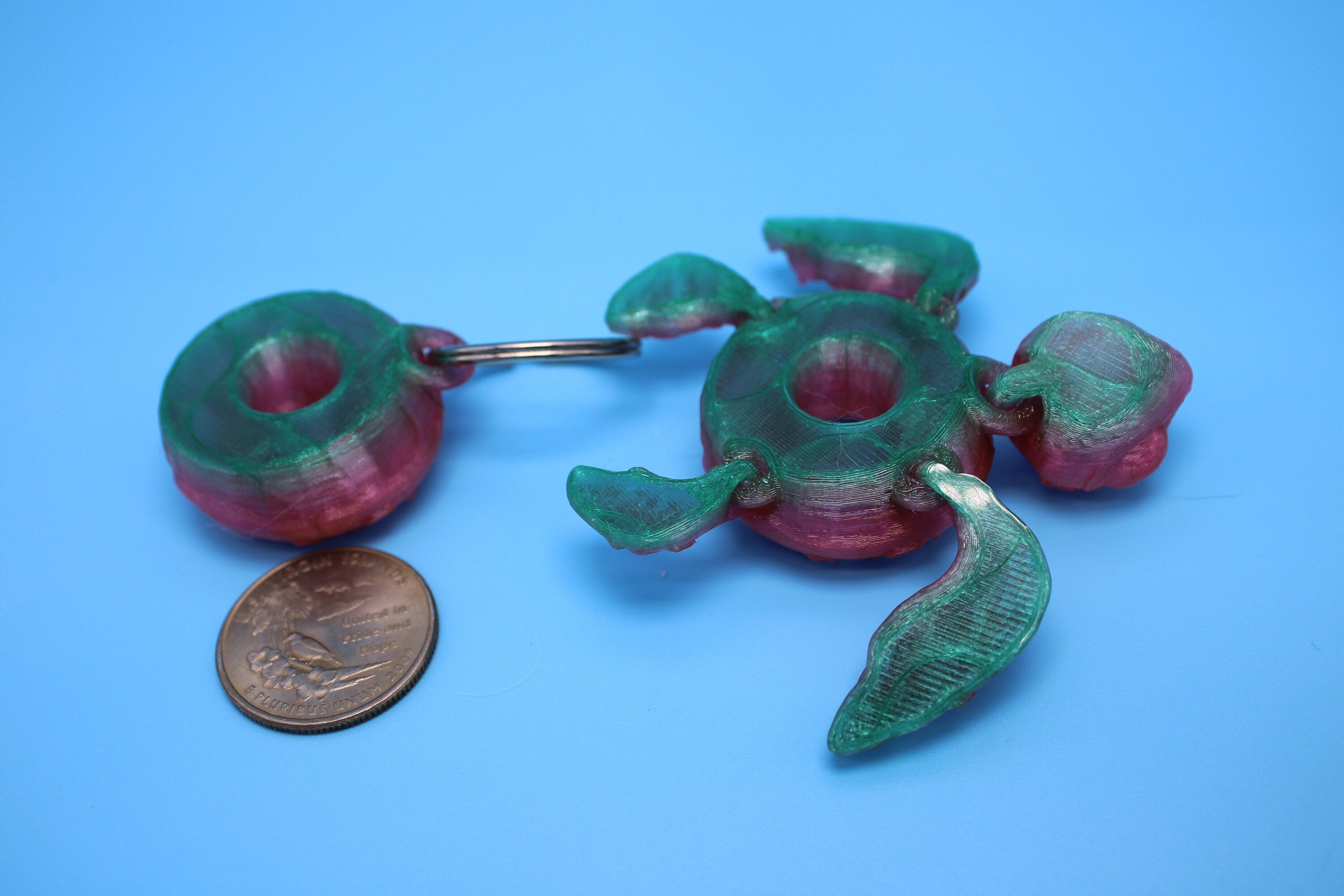 Turtle - Doughnut Turtle | Miniature (Donurtle) | 3D Printed TPU | Flexi Fidget Turtle | Desk Fidget Toy.