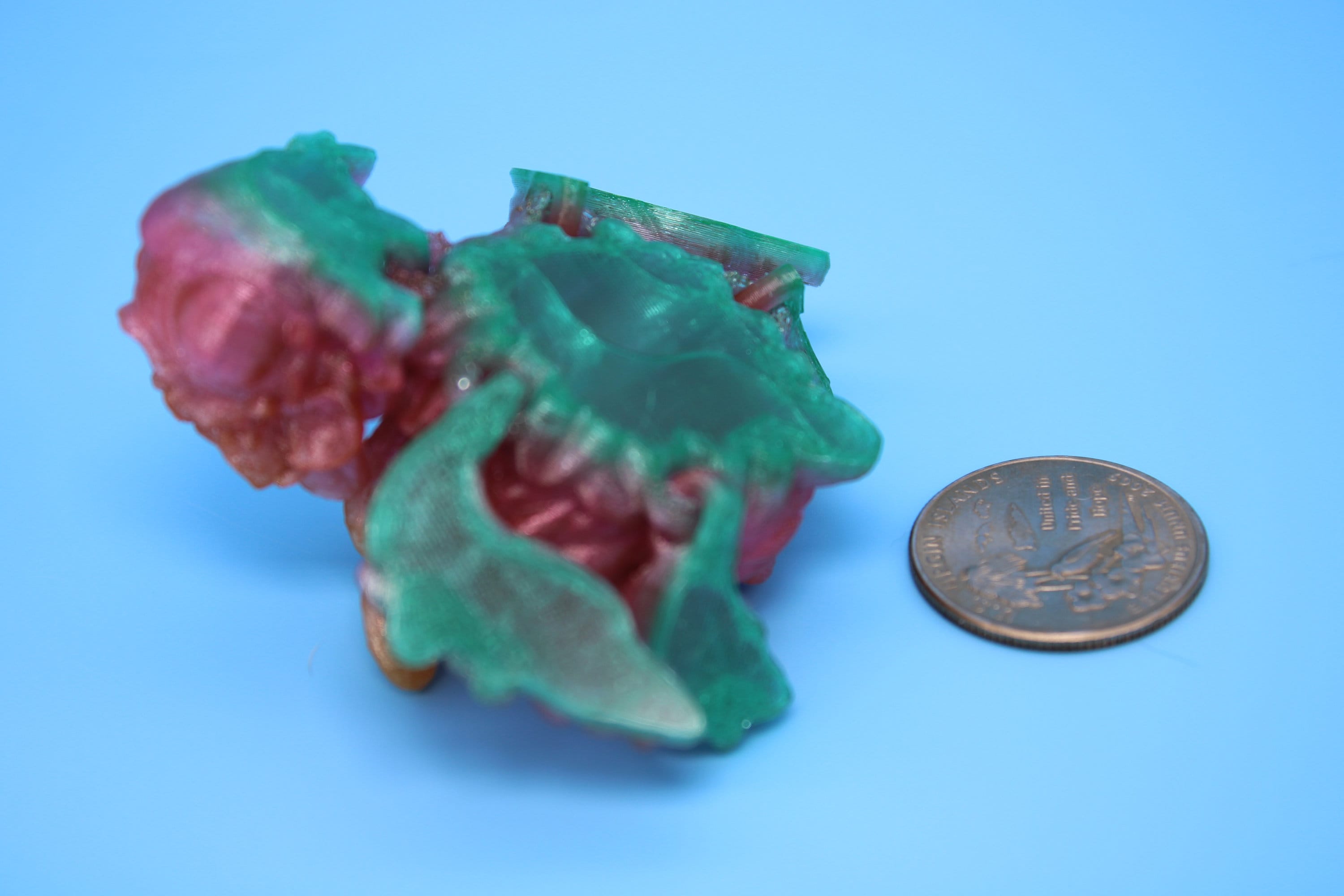 Orchid Turtle- Rainbow | Flexi | Fidget | Adult Fidget Toy | 2.75 in. | Rose Turtle Buddy.