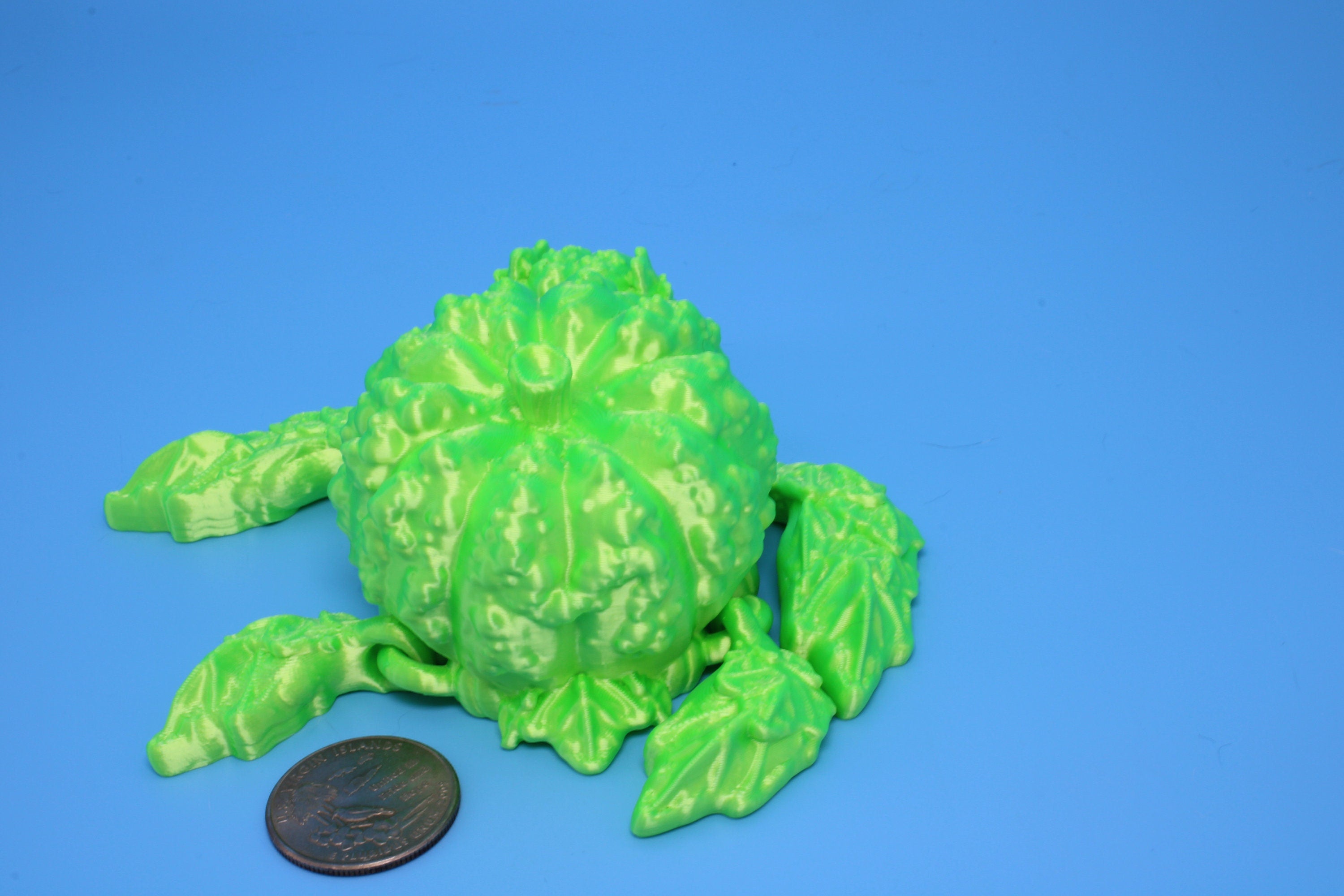 Turtle- Green | Pumpkin Turtle | Flexi Bumpkinurtle | 4.5 inch | Turtle Buddy | Great gift!