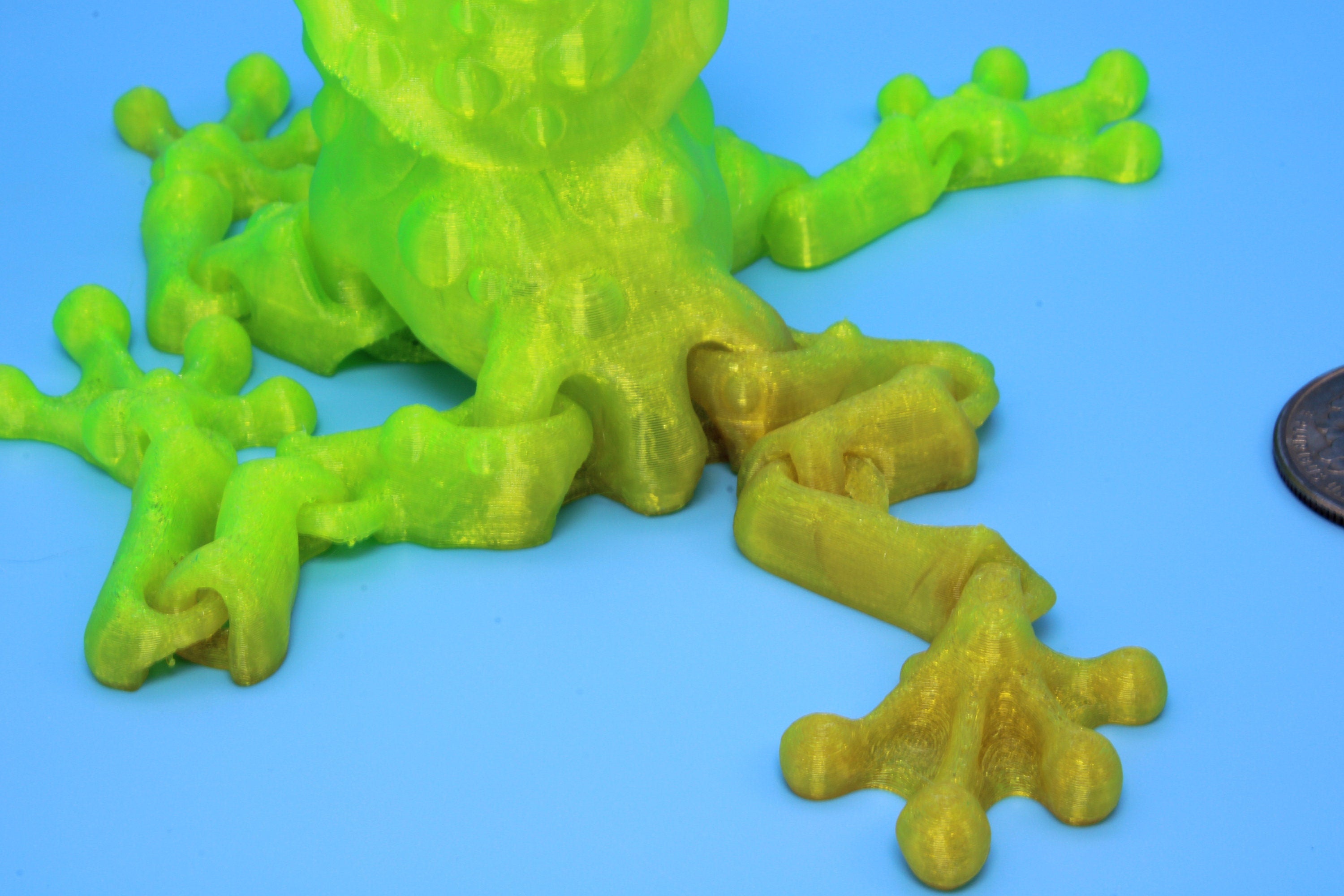 Mushroom Frog | 3D Printed - TPU | Friendly Frog | Fidget Toy | Articulating Frog.