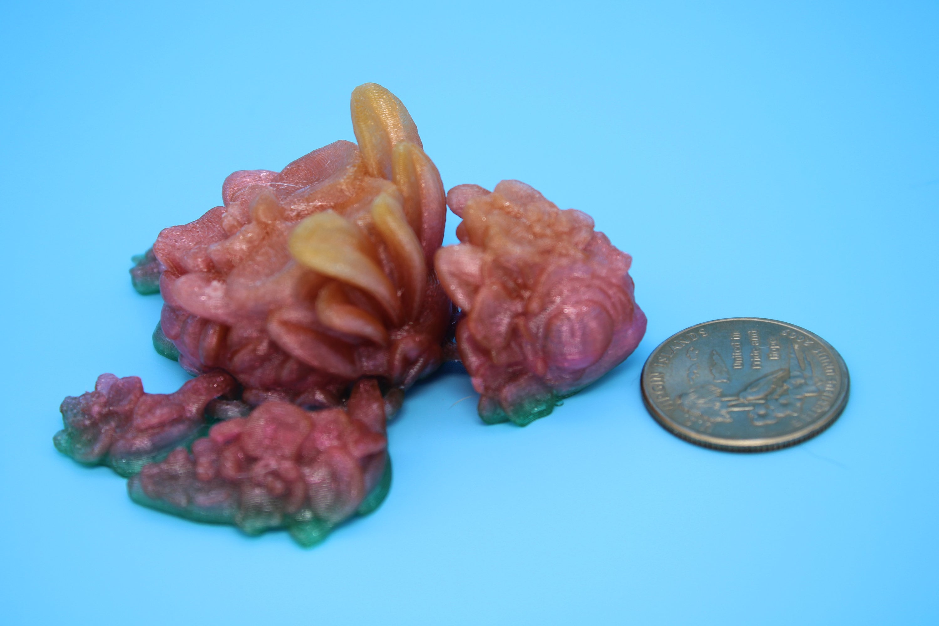 Orchid Turtle- Rainbow | Flexi | Fidget | Adult Fidget Toy | 2.75 in. | Rose Turtle Buddy.