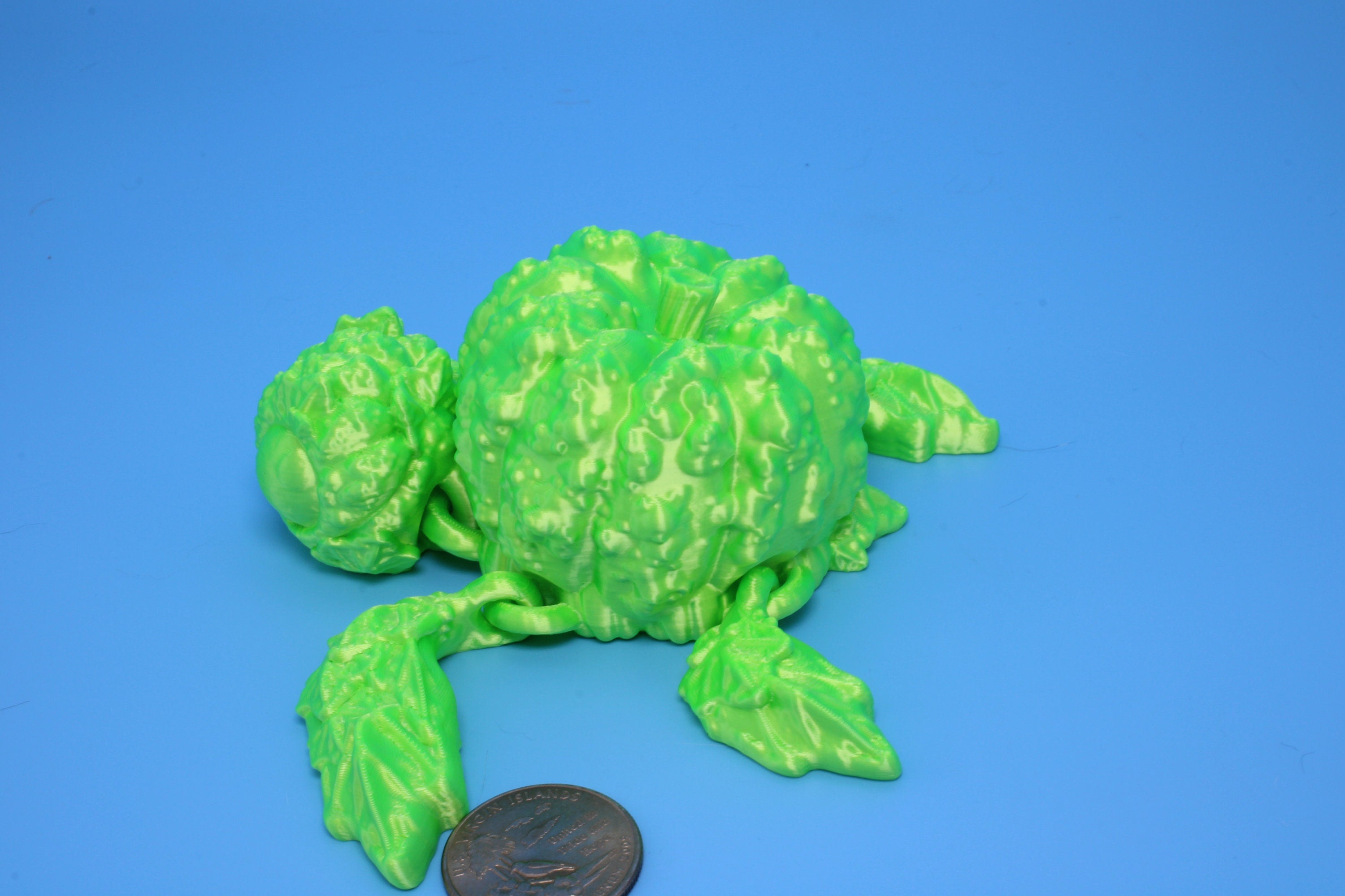 Turtle- Green | Pumpkin Turtle | Flexi Bumpkinurtle | 4.5 inch | Turtle Buddy | Great gift!