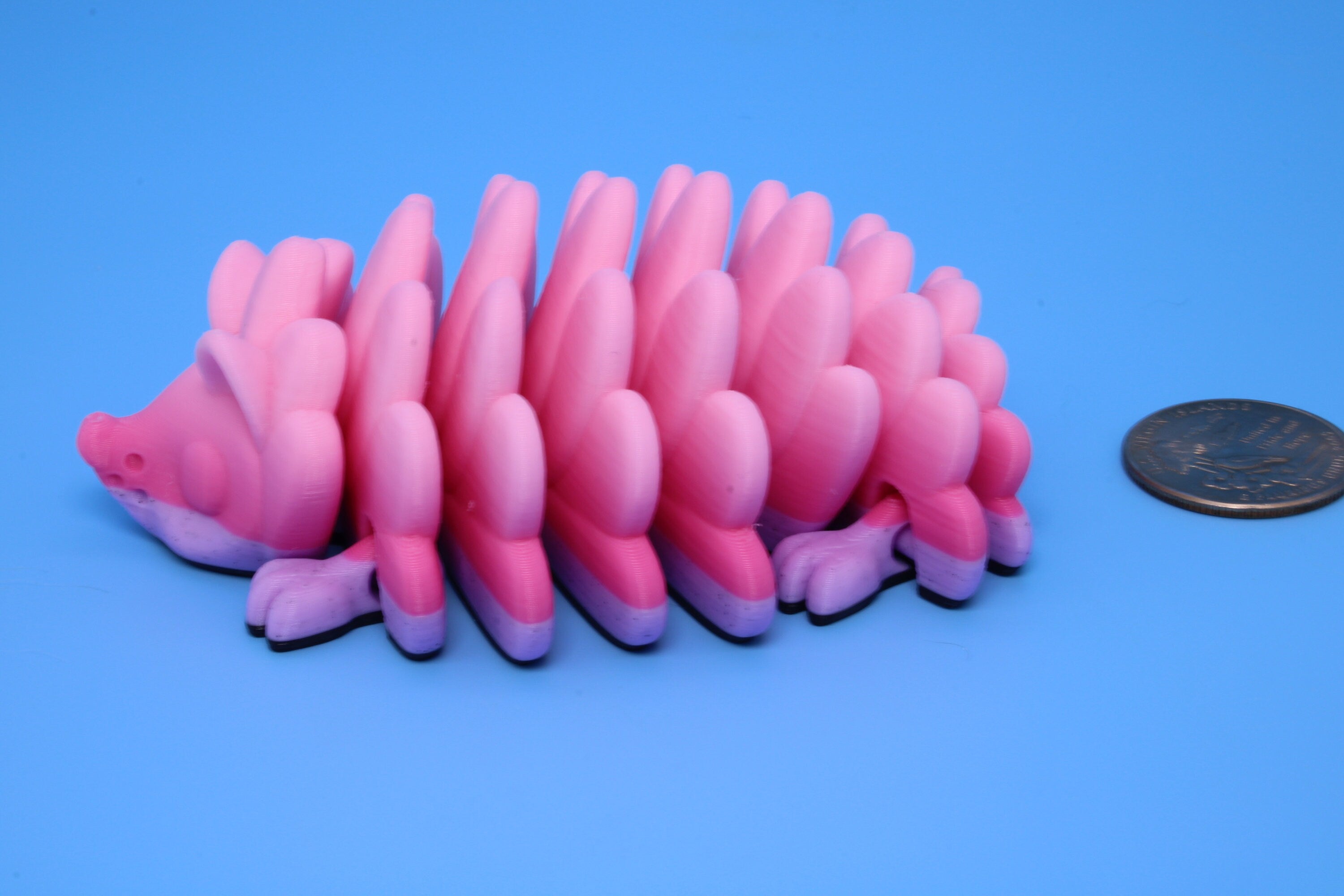 Hedgehog | 3D Printed | Small Cute Hedgehog | Sensory Toy | Fidget Toy.