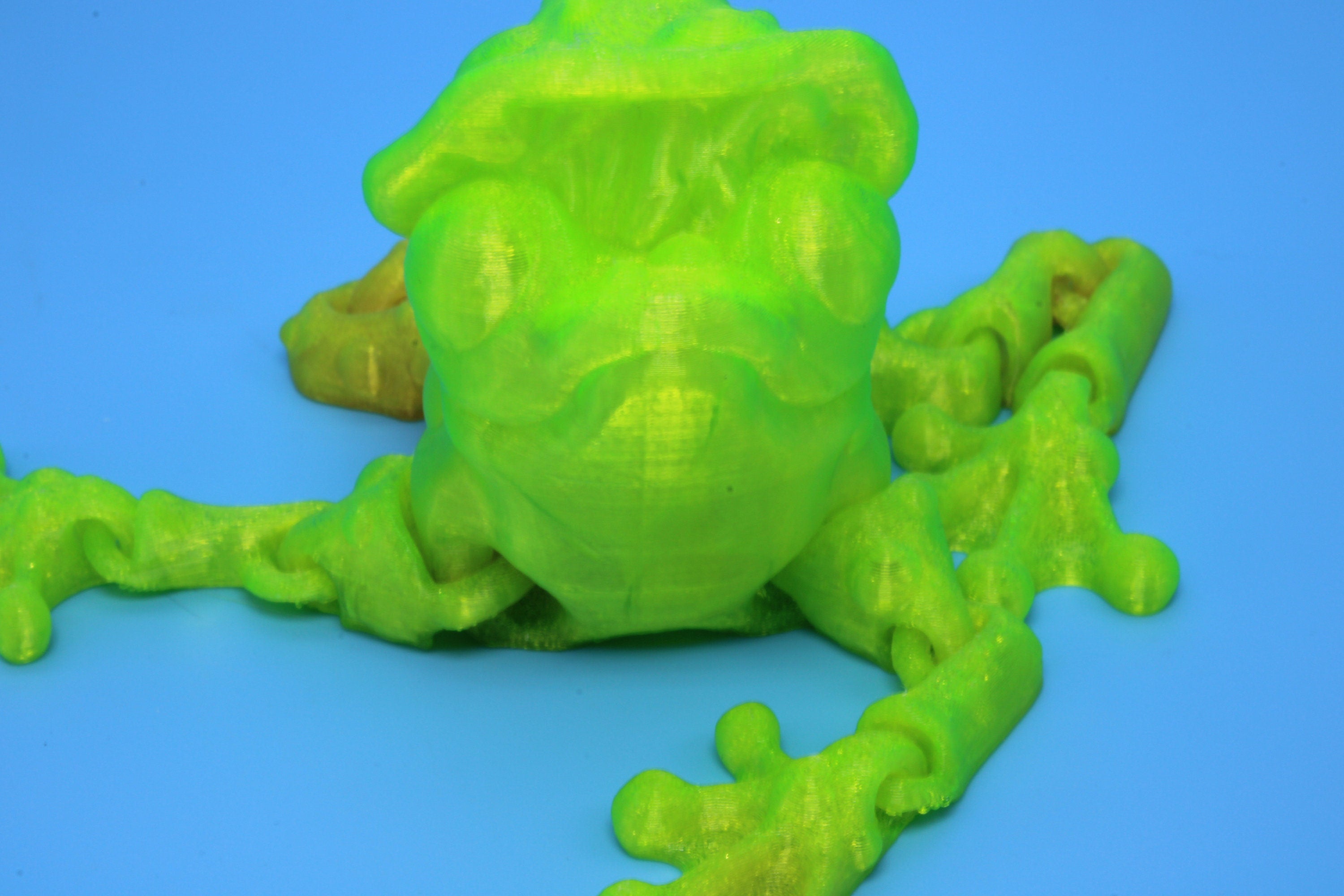 Mushroom Frog | 3D Printed - TPU | Friendly Frog | Fidget Toy | Articulating Frog.
