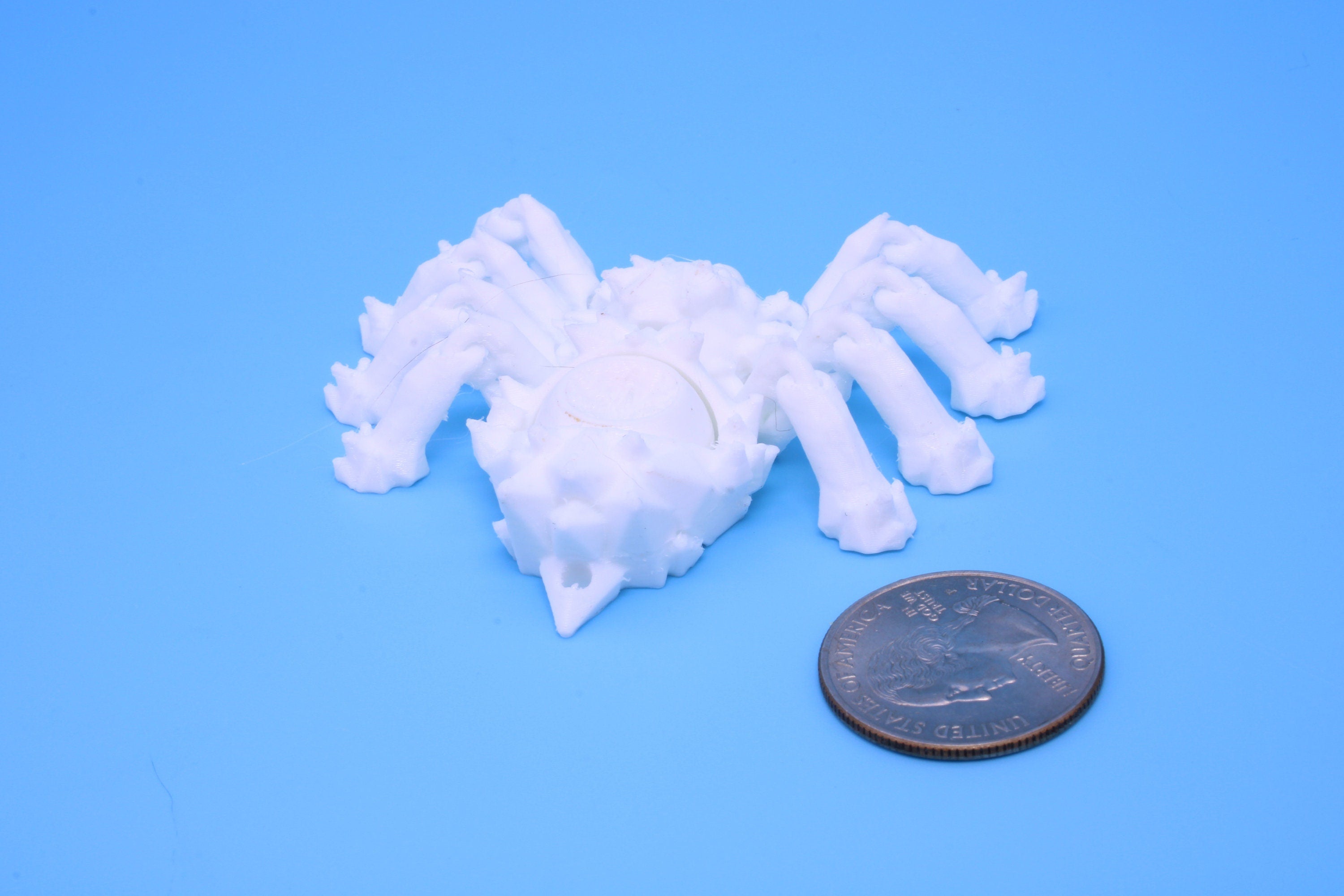 Spider- 3D Printed TPU | White | Flexi Toy. made to order